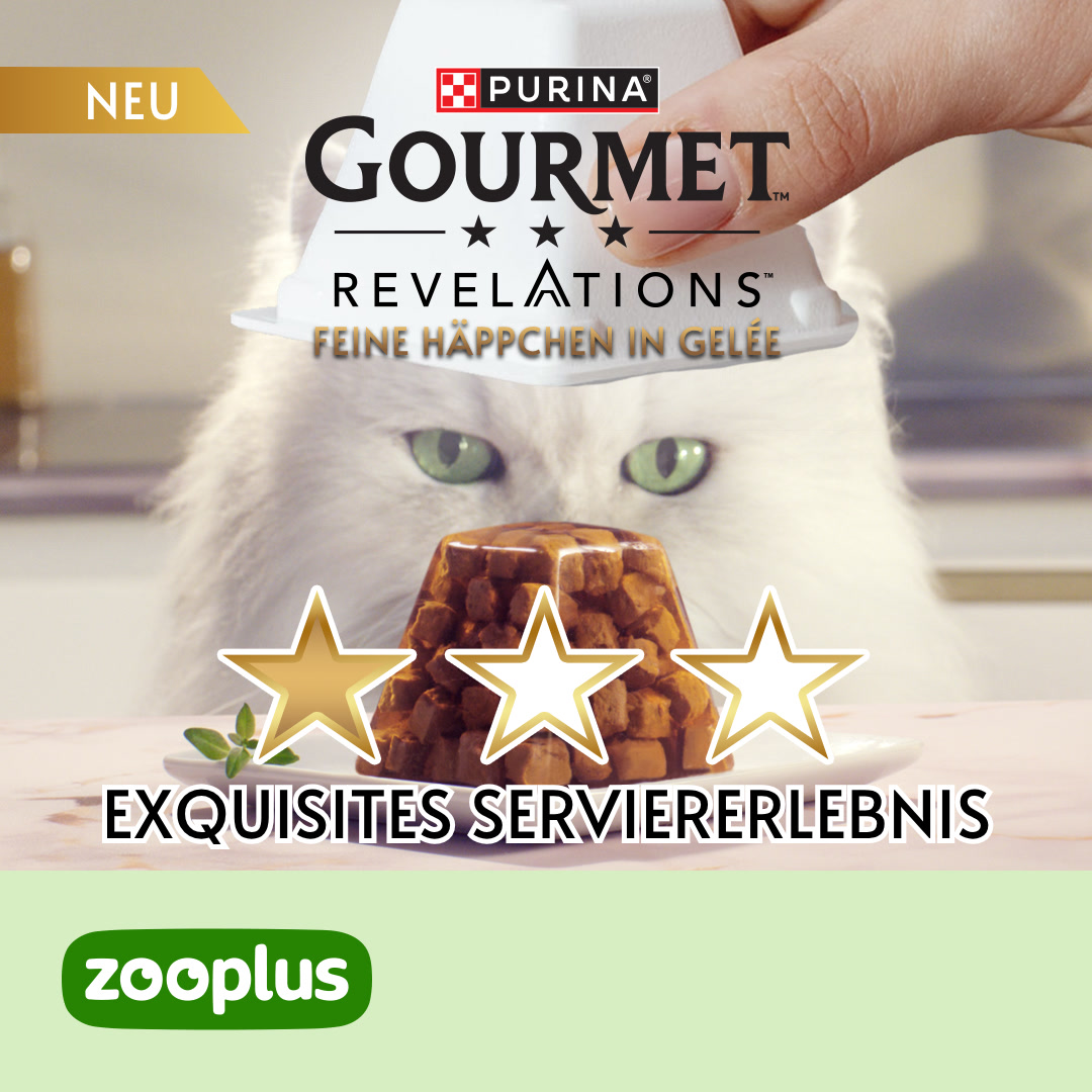 zooplus Facebook ad
