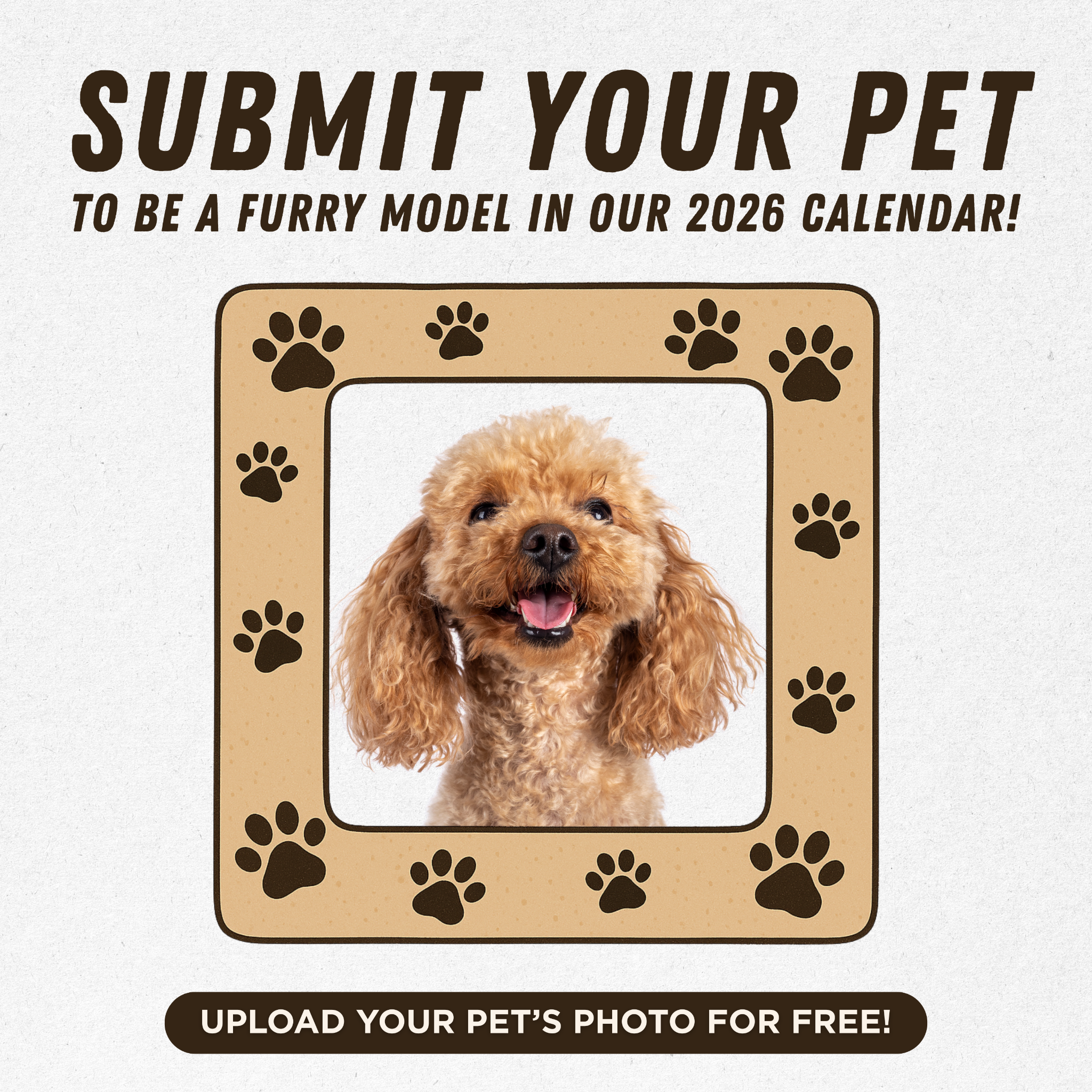 Pawidols Facebook ad: Your Pet Could Be a 2026 Calendar Star!