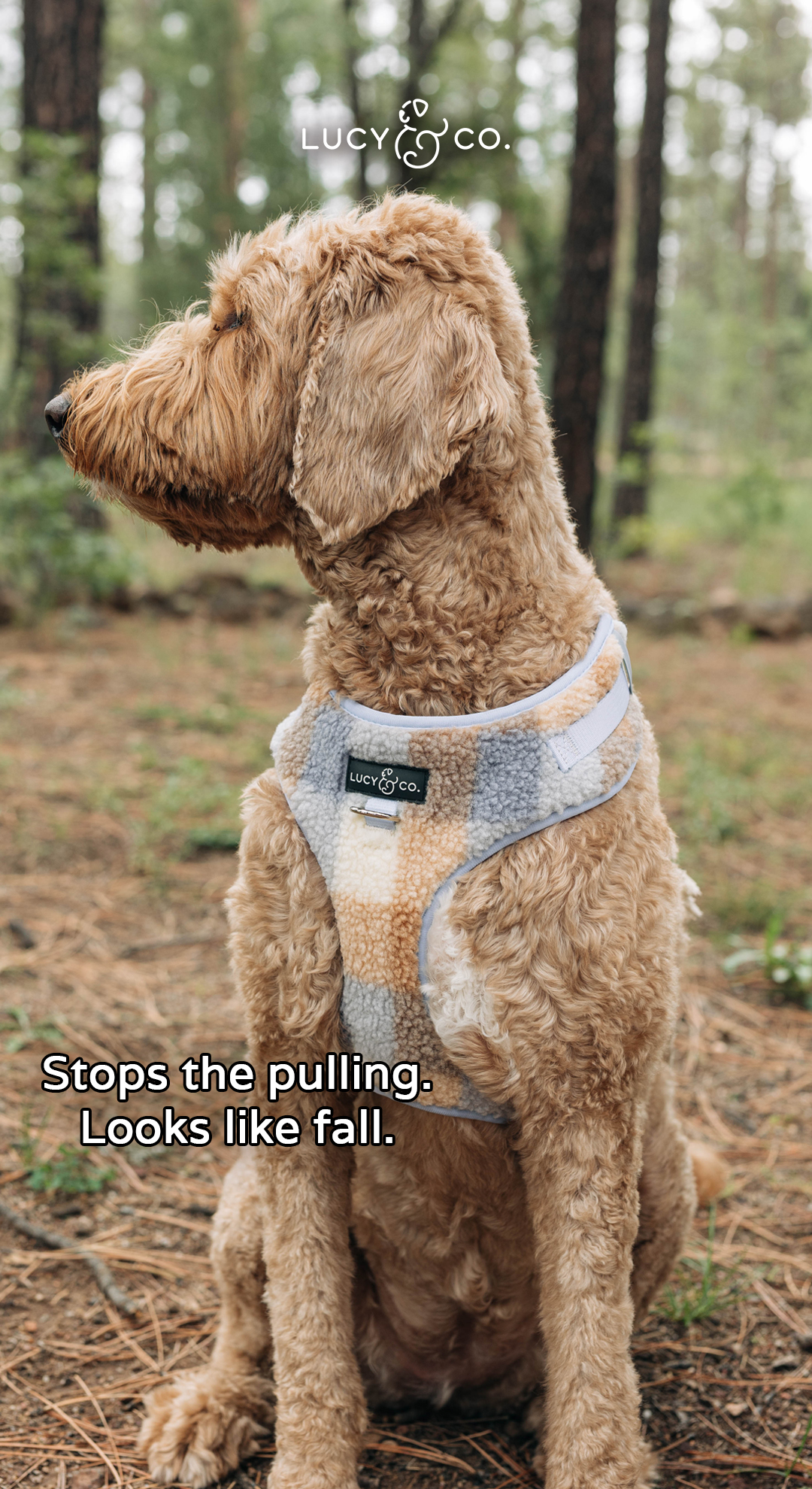Lucy & Co. Facebook ad: The Walk Set Pet Parents Are Grabbing