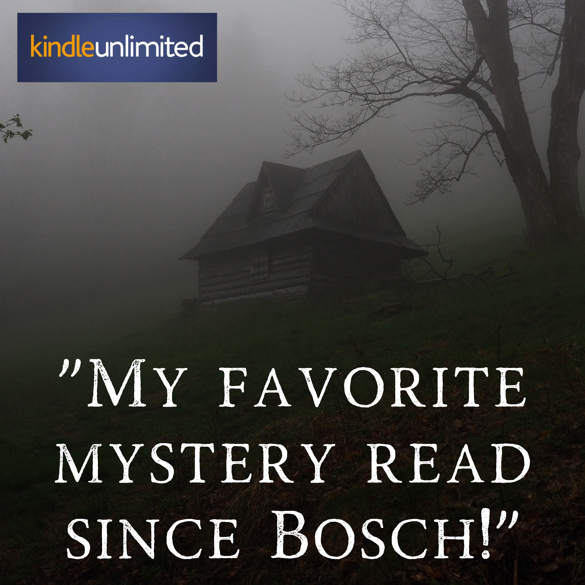 D.D. Black, Author of Pacific Northwest Crime Fiction Facebook ad