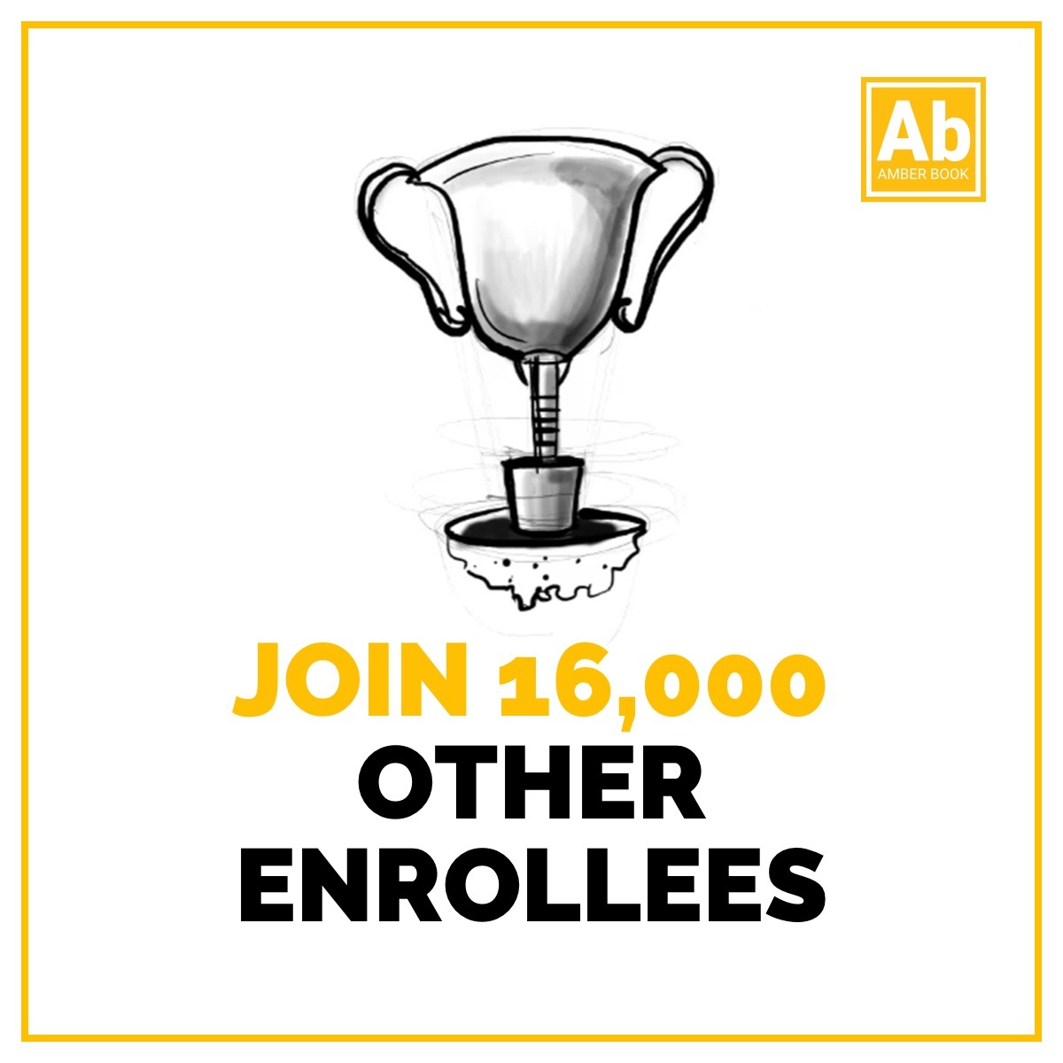 The Amber Book Facebook ad