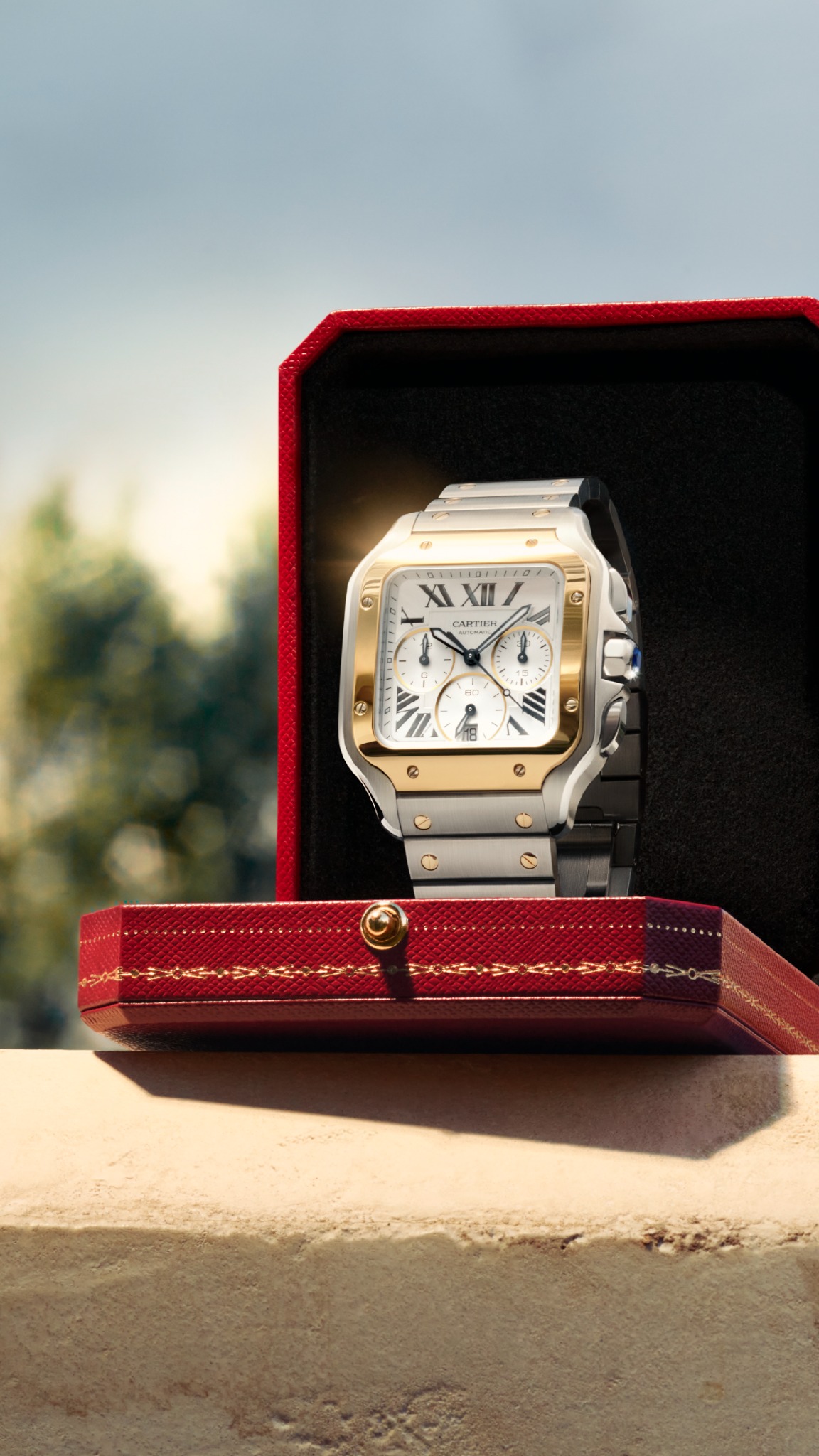 Cartier Facebook ad