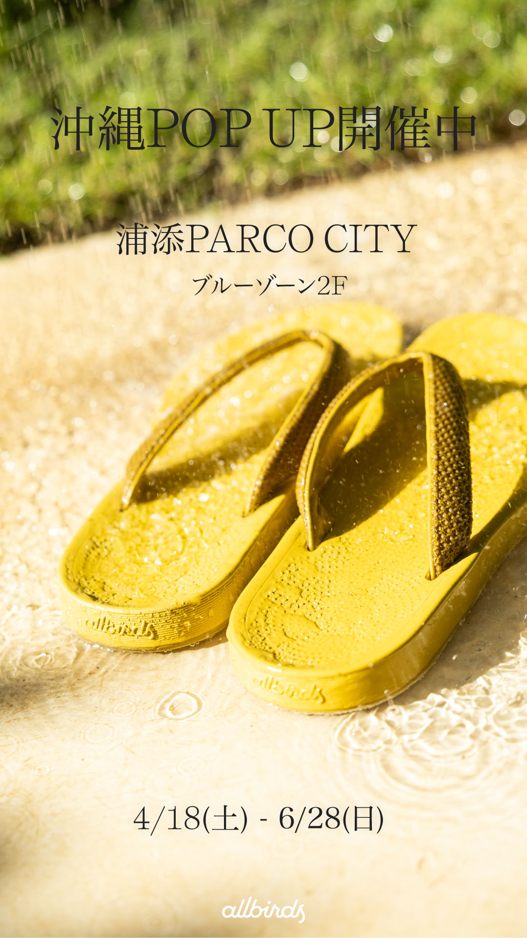 Allbirds Japan Facebook ad