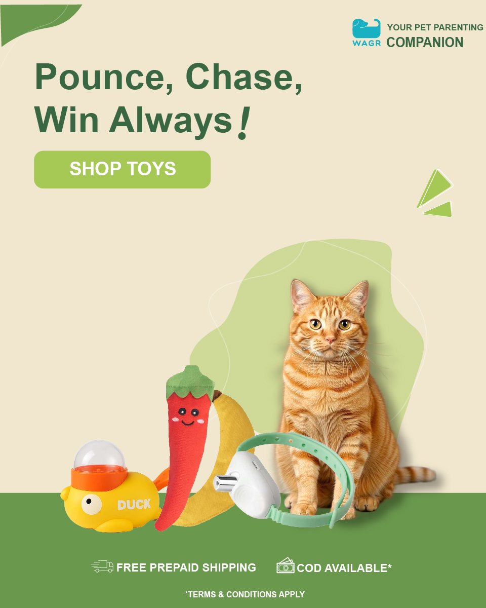 Wagr Facebook ad: Less Searching. More WAGR.
