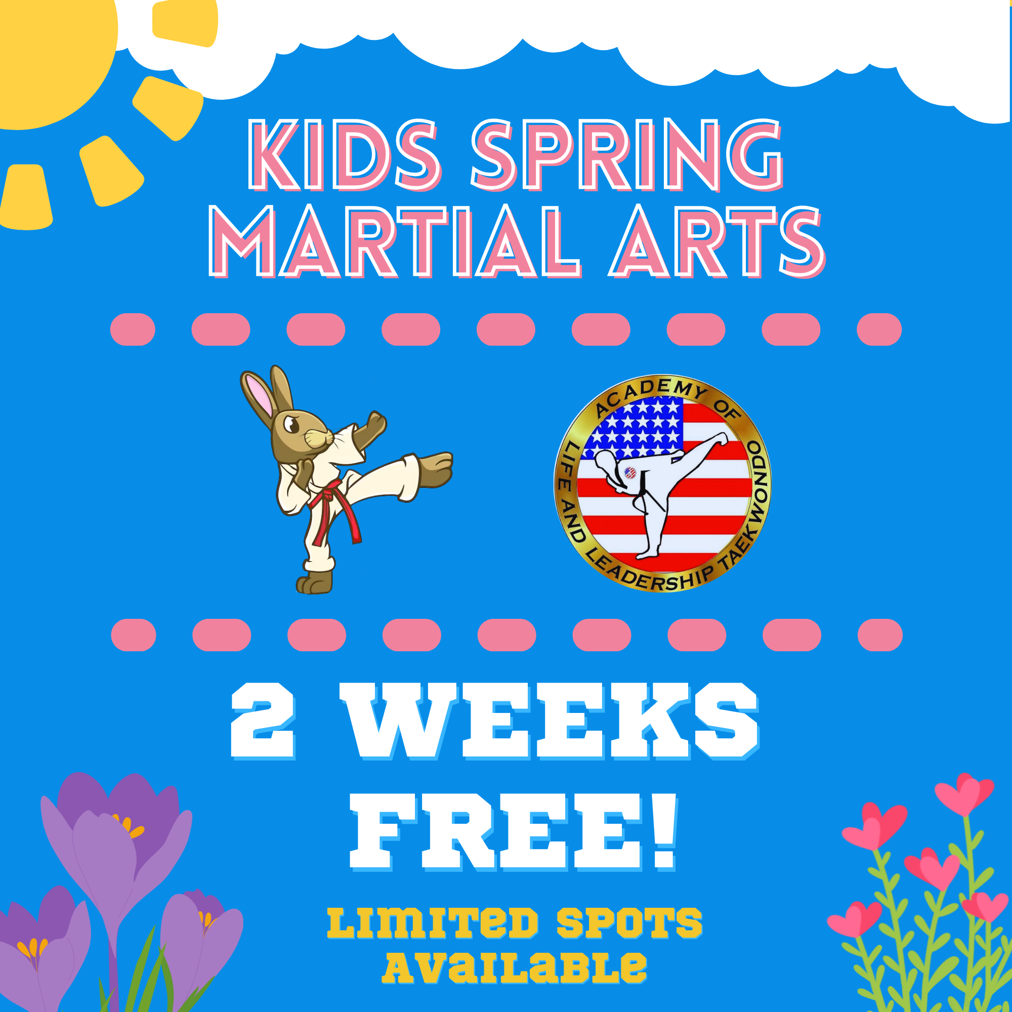 Academy of Life and Leadership Taekwondo Facebook ad