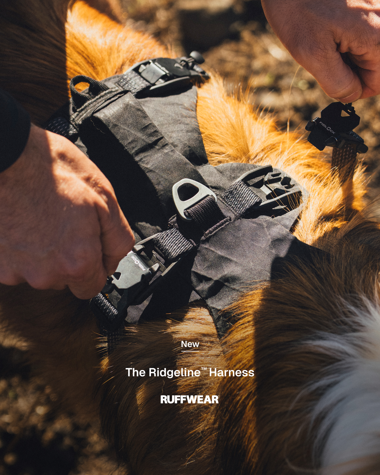 Ruffwear Facebook ad