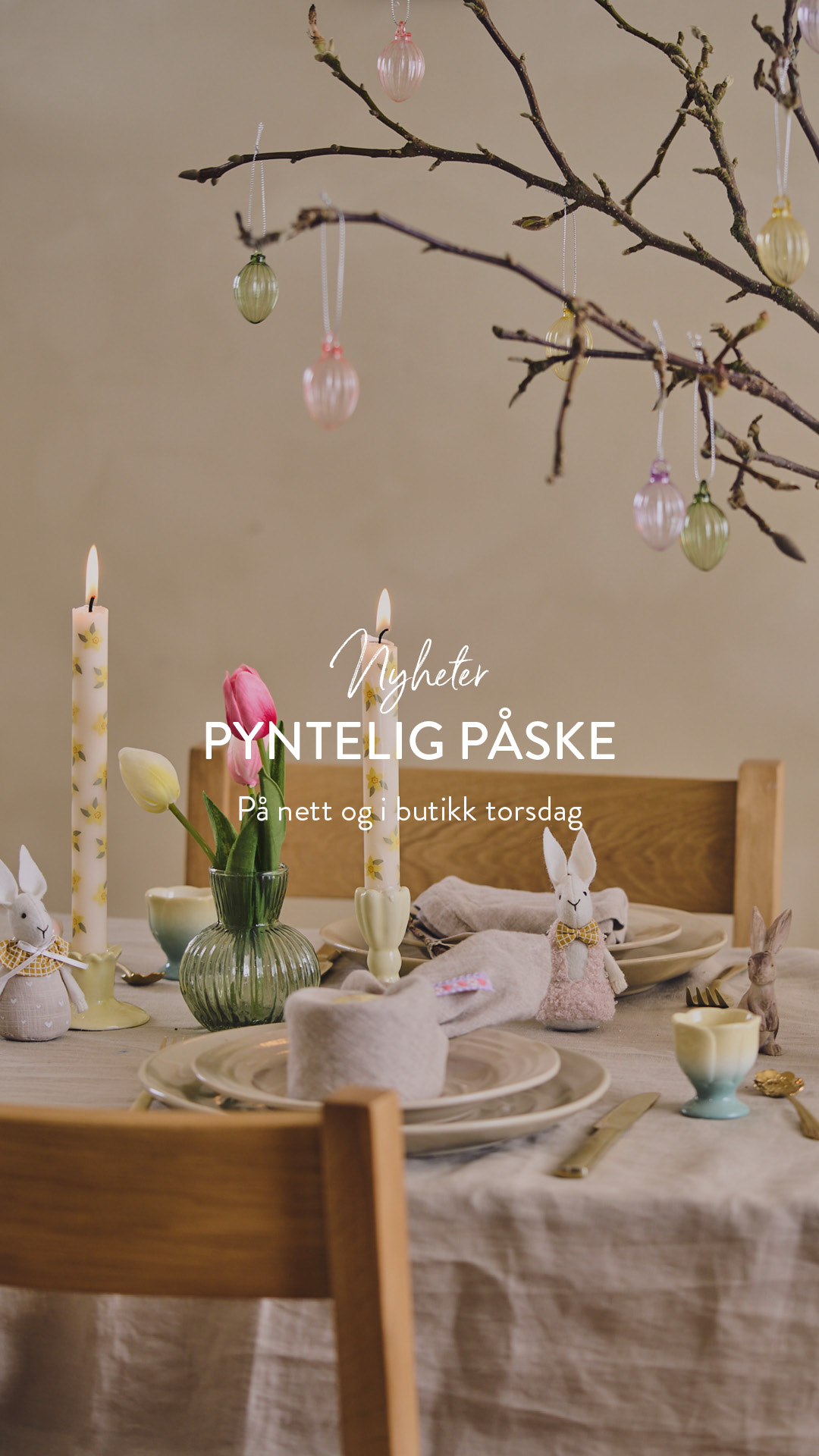 Søstrene Grene Facebook ad