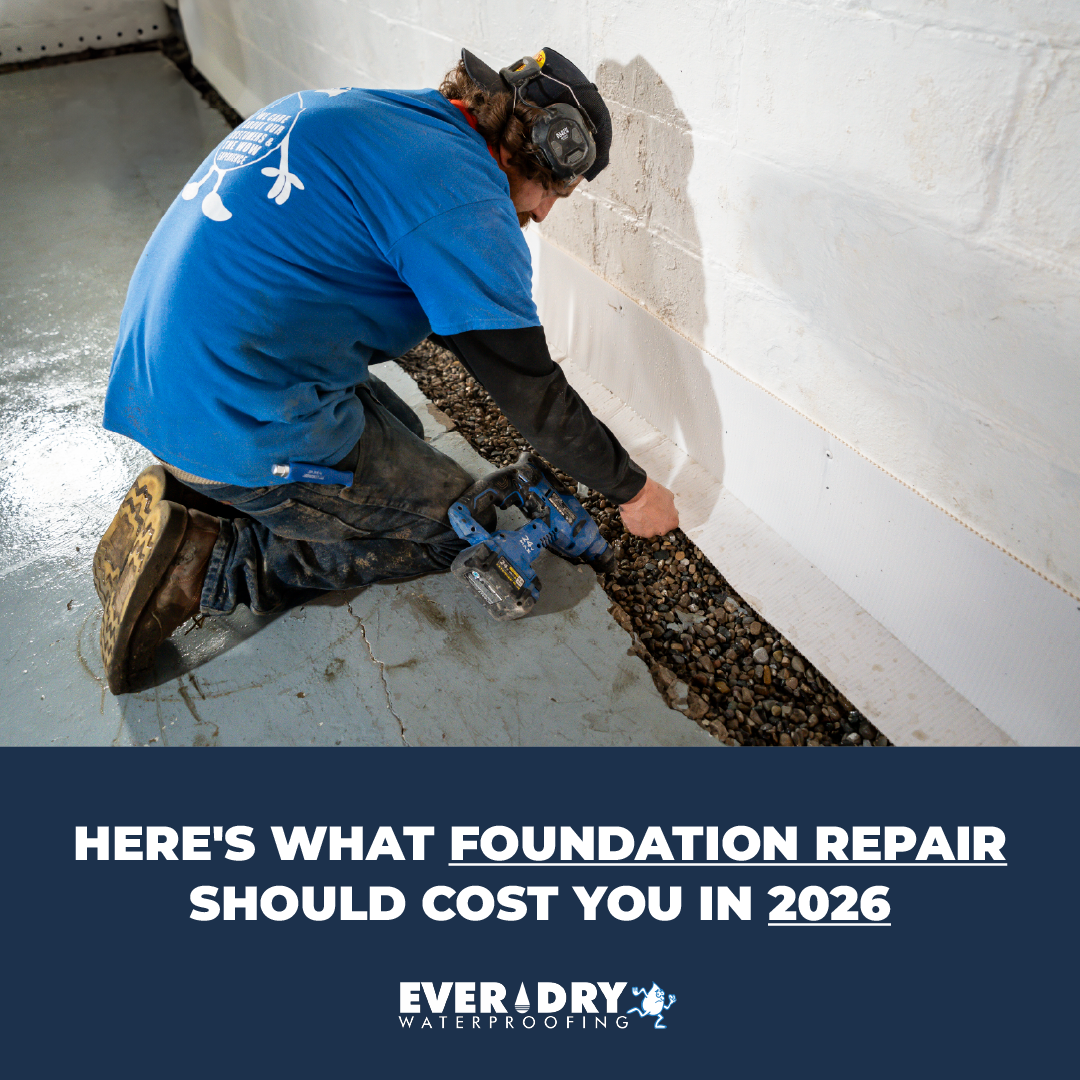 Everdry Waterproofing of Metro Detroit Facebook ad