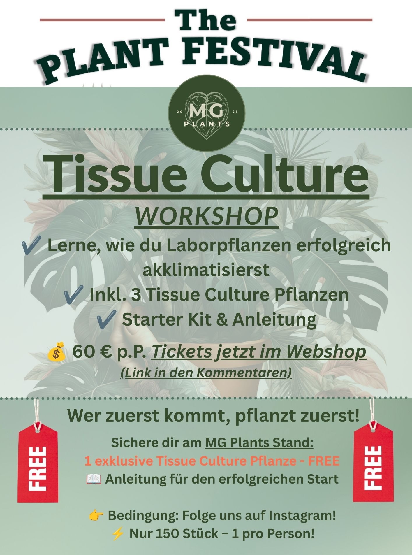 MG Plants Store Facebook ad: Seltene Zimmerpflanzen kaufen | MG Plants Bonn