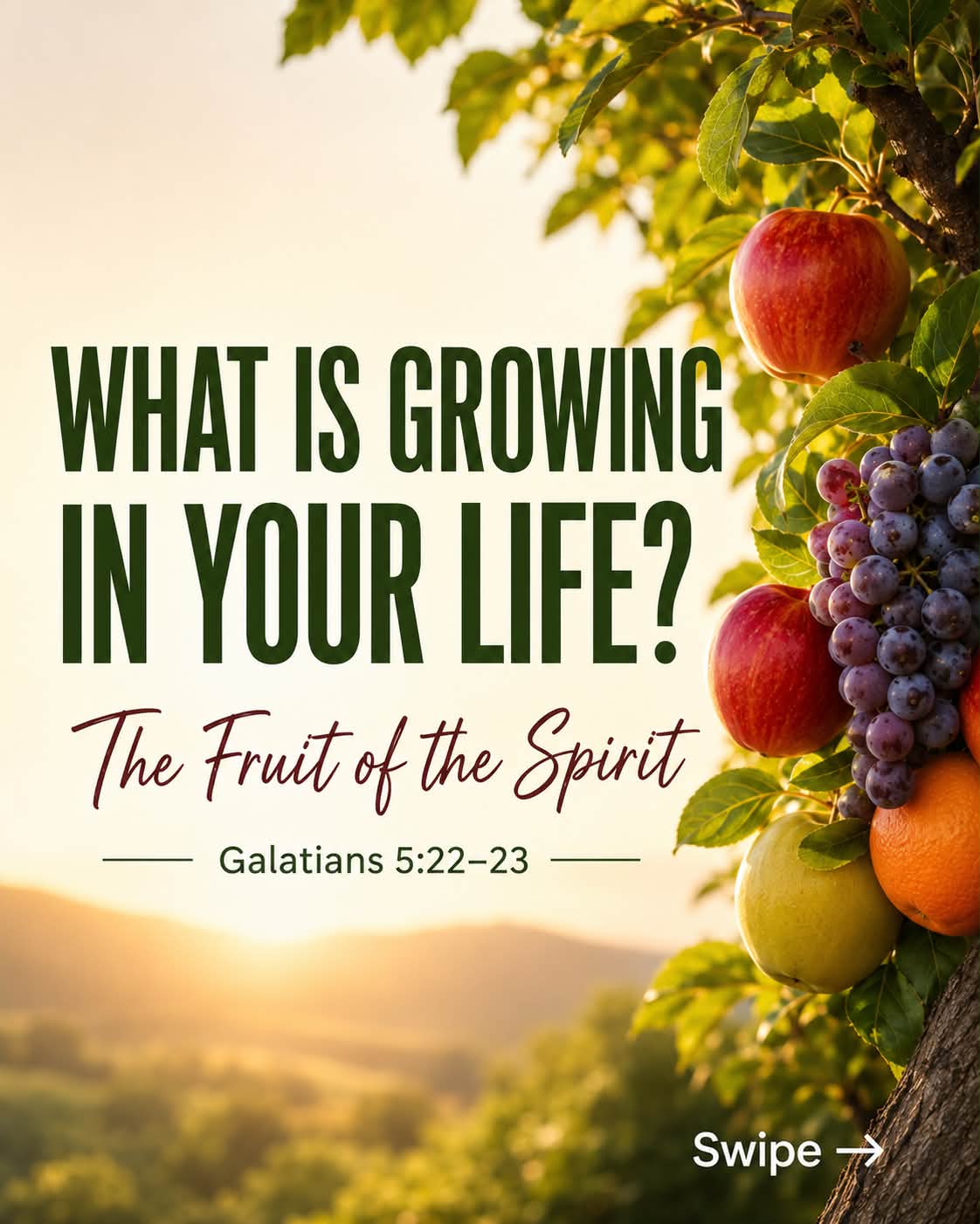 Voices of Hope Global Media Facebook ad: Fruits of the Spirit