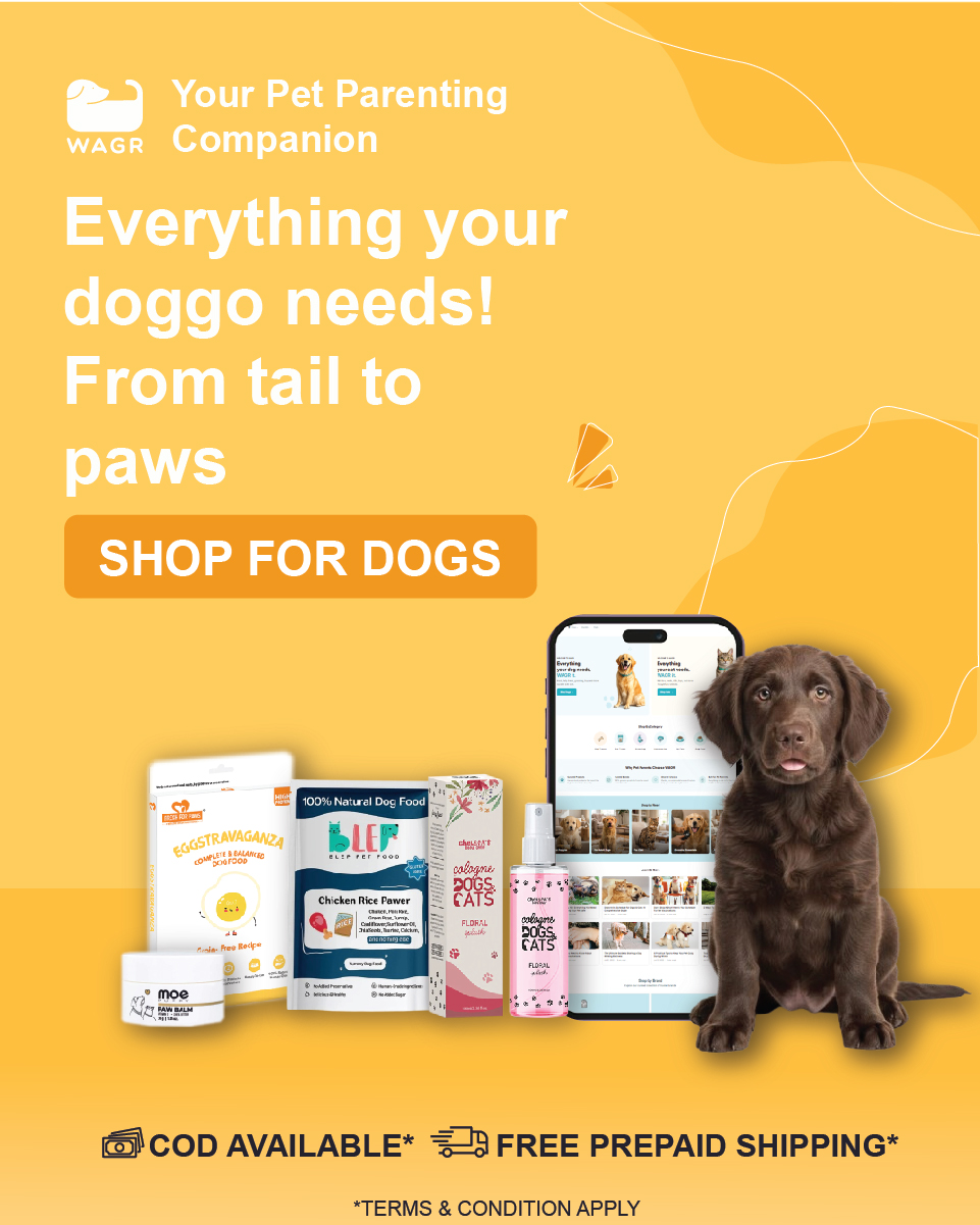 Wagr Facebook ad