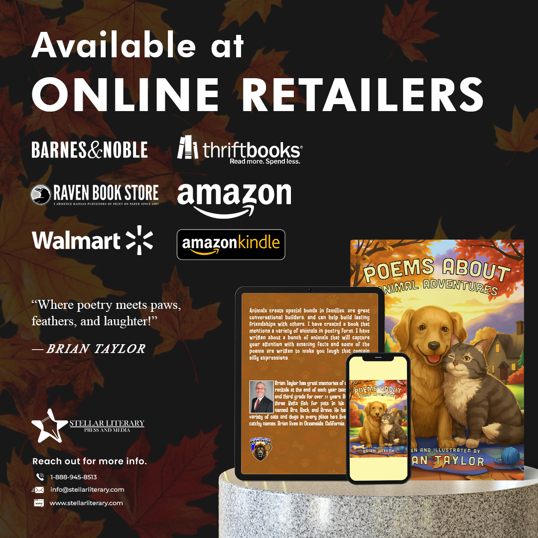 Stellar Literary Press and Media Facebook ad