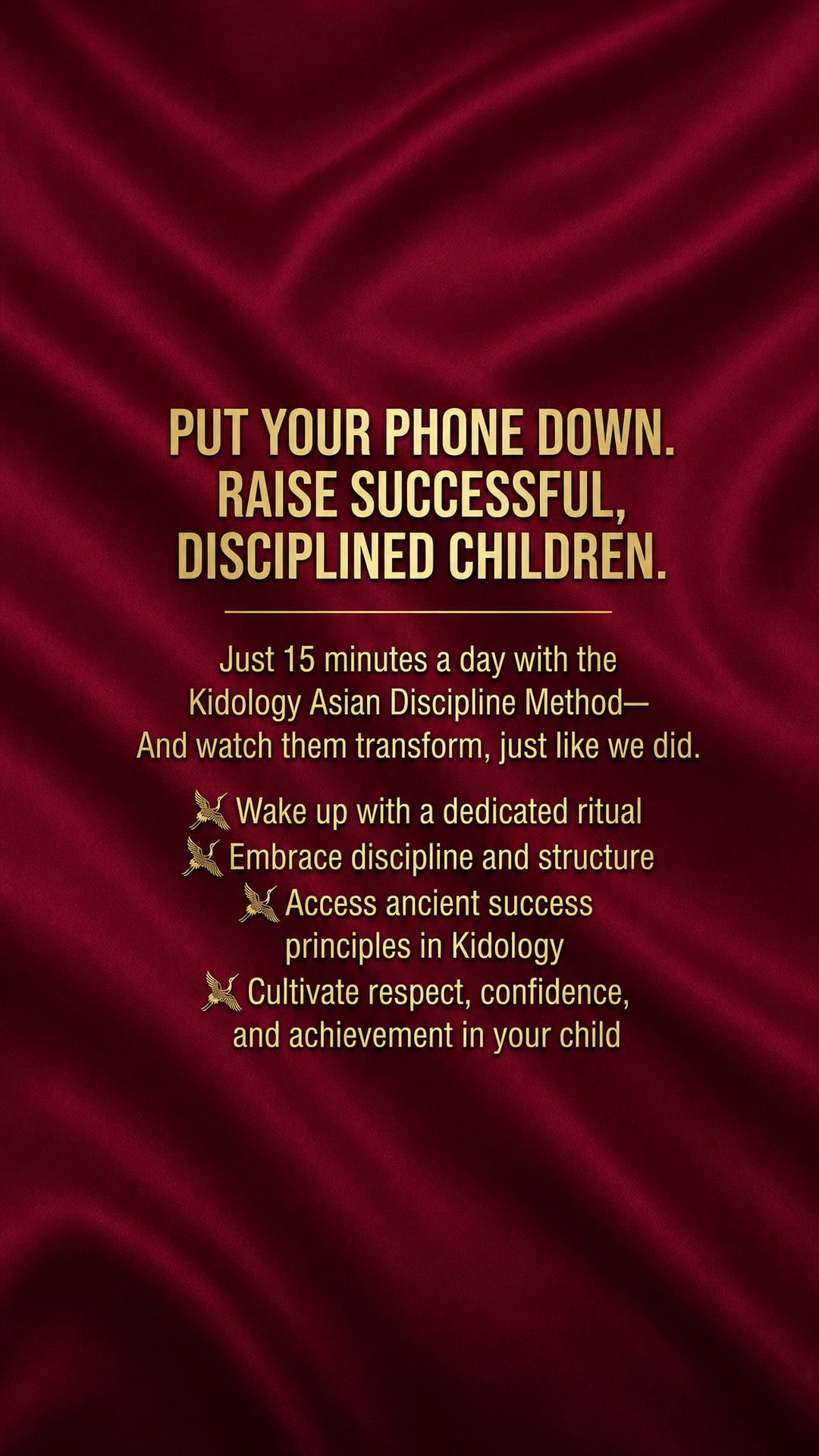 Tanaka Hiroshi - ADHD parenting coach Facebook ad