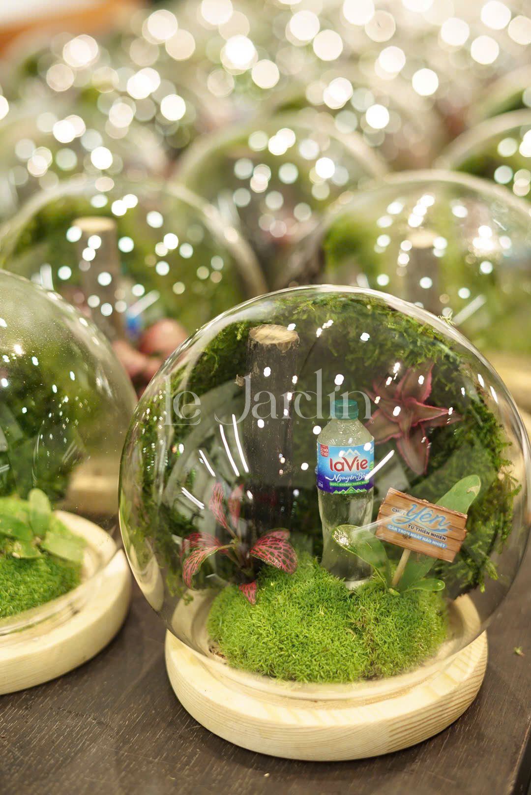 Terrarium Le Jardin Facebook ad: TOP 30 QUÀ TẶNG DOANH NGHIỆP, QUÀ TẶNG…