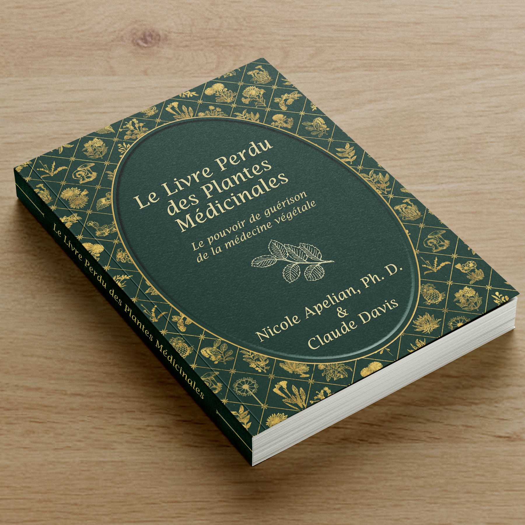 Le Livre Perdu des Plantes Médicinales Facebook ad: Plus de 800 plantes médicinales et remèdes que…