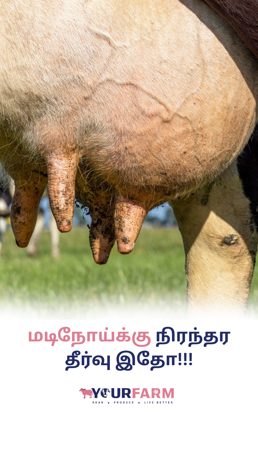 YourFarm AgriTech Facebook ad