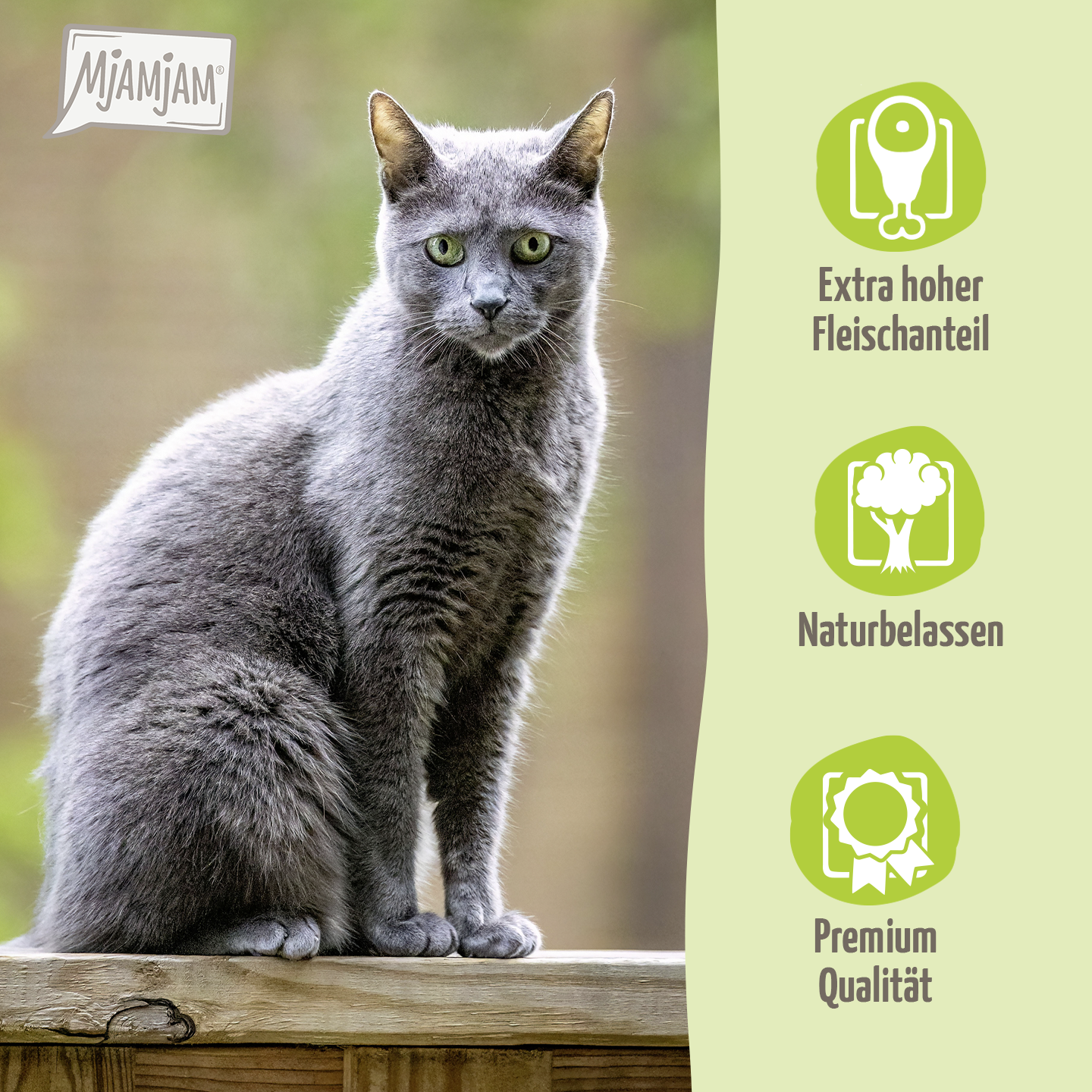 MjAMjAM Petfood Facebook ad: MhhhhhhjAMjAM!