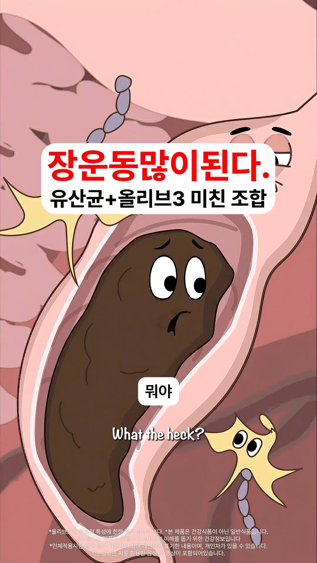 웰니스인포 Facebook ad: 올리브3속 폴리페놀 +불포화지방산이 유산균을 대장까지 안전하게!
