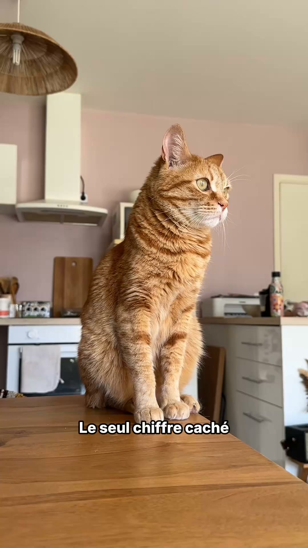 Franklin Pet Food Facebook ad: Rassasié ET en bonne santé: la formule idéale
