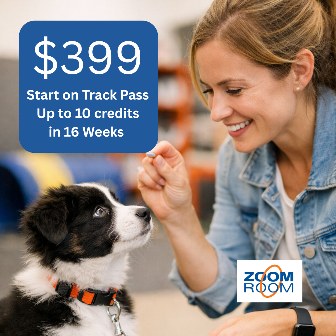 Zoom Room Dog Training Facebook ad: Start On Track, Puppy Training