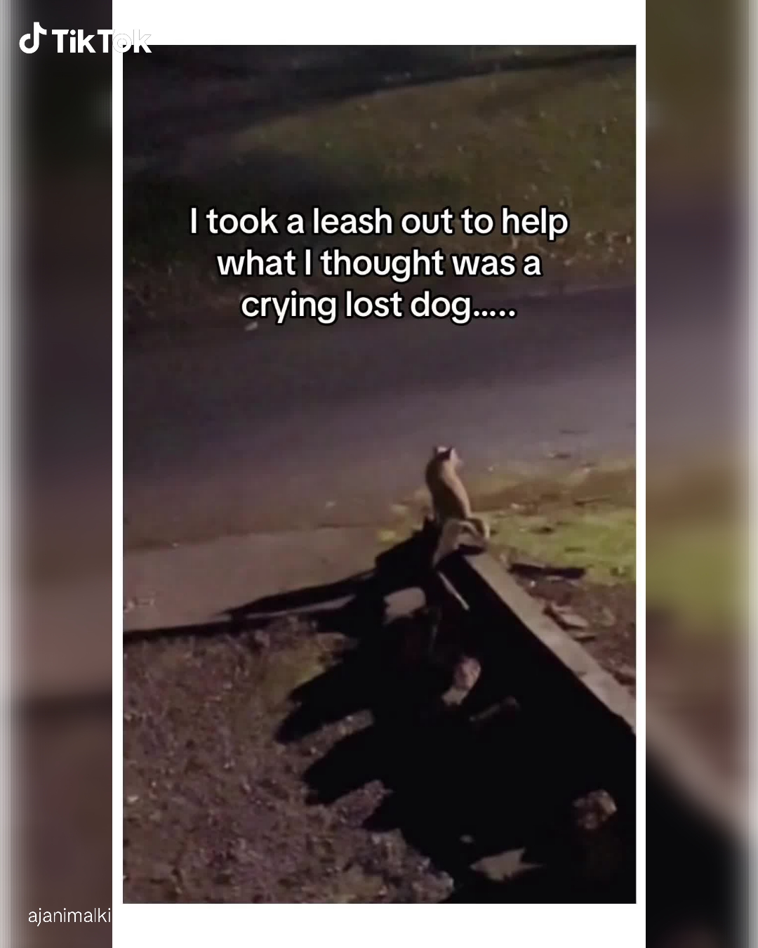 TikTok - US Facebook ad