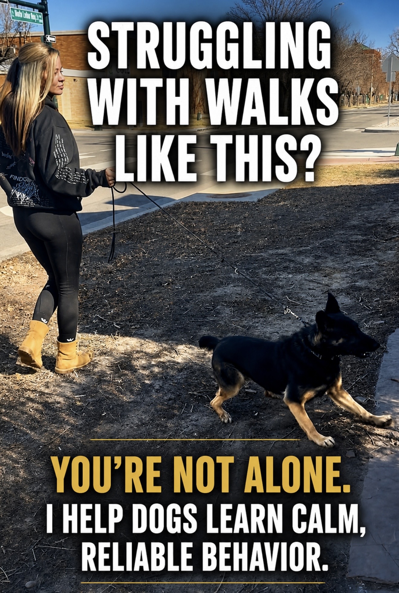 Top Paw K9 Academy Facebook ad: Your dog isn’t trying to be difficult.