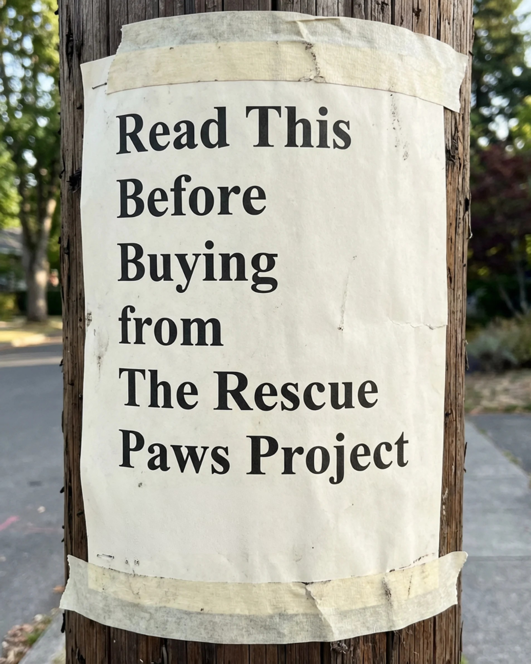 Rescue Paws Facebook ad