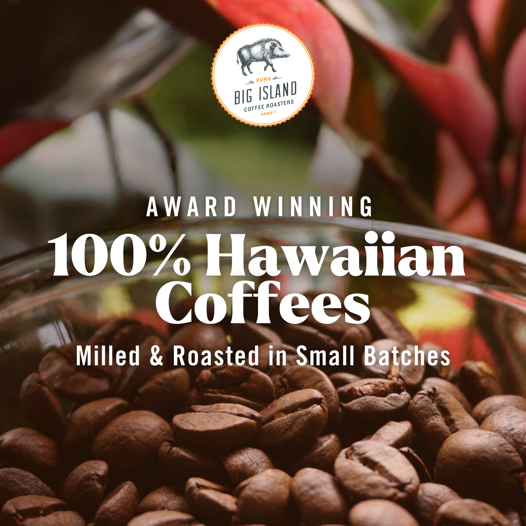 Big Island Coffee Roasters Facebook ad