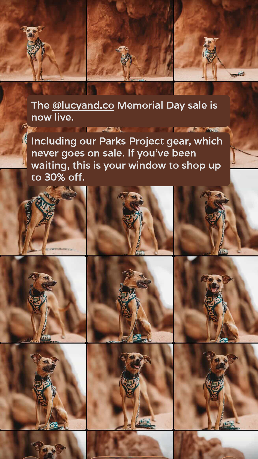 Lucy & Co. Facebook ad