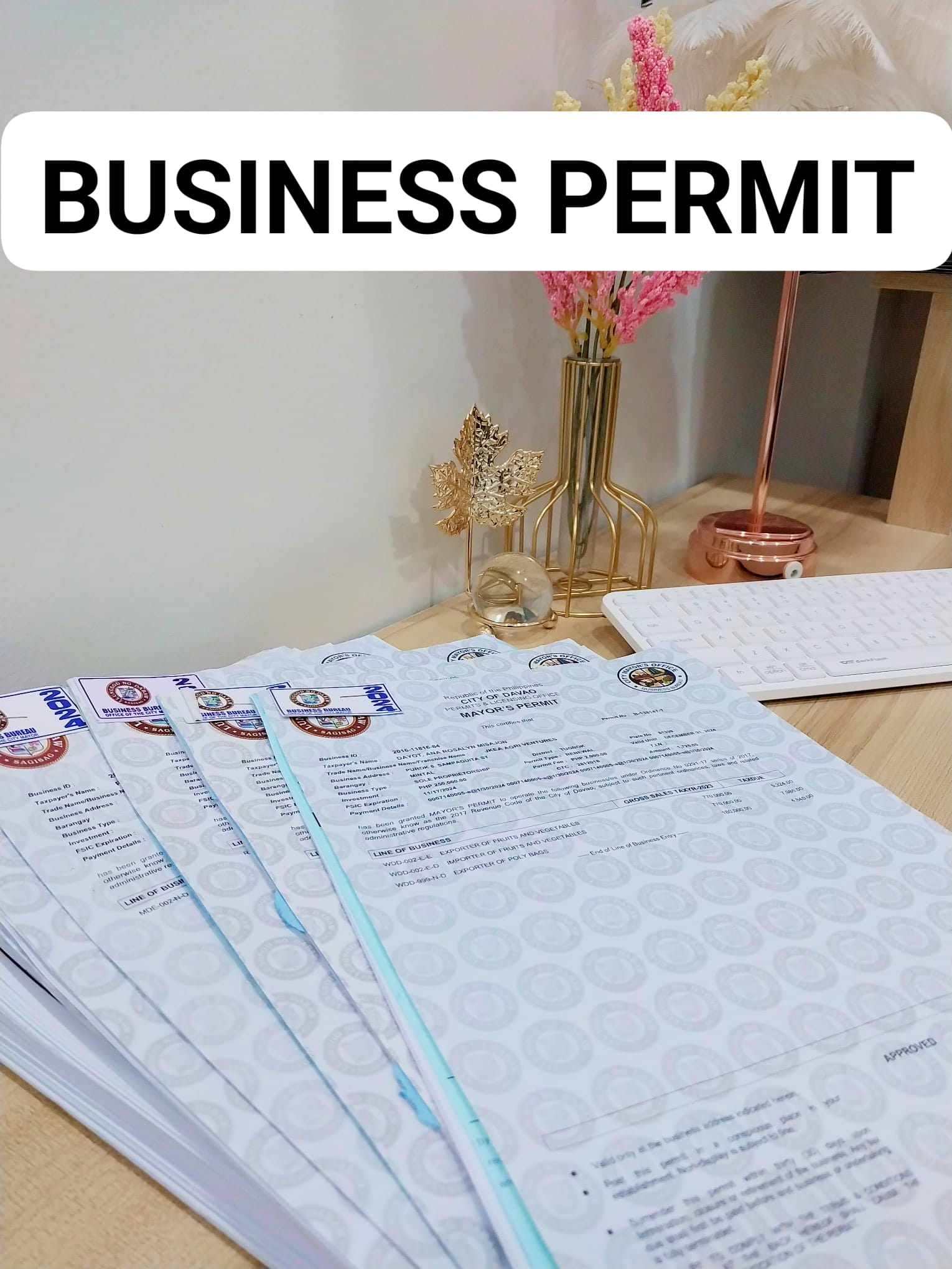 A and F Bookkeeping and Document processing services Facebook ad