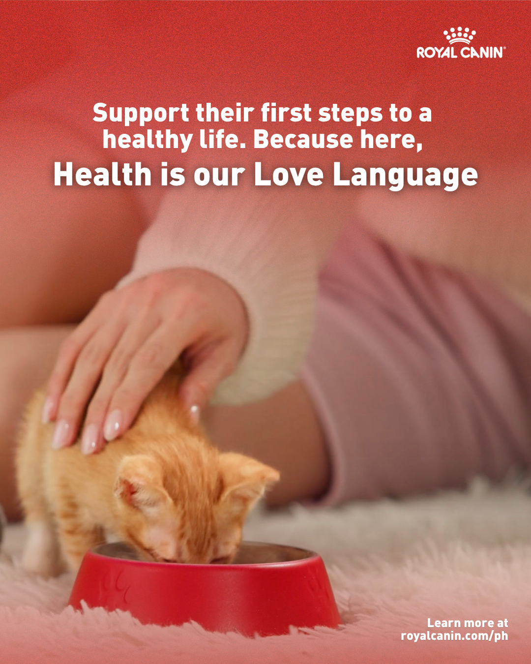 Royal Canin Facebook ad