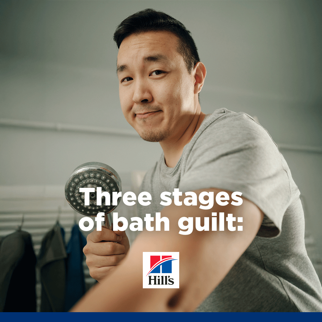 Hill’s Pet Nutrition Facebook ad