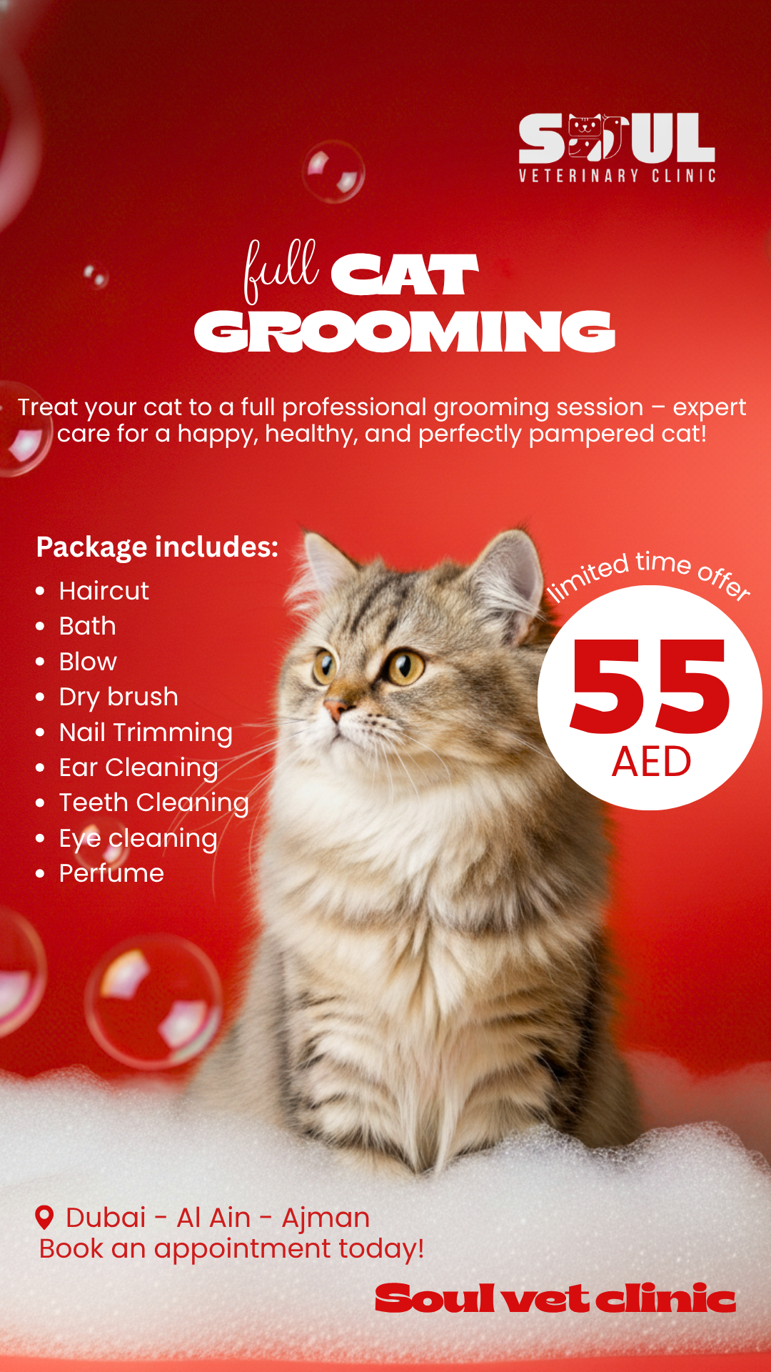 Soul Veterinary Clinic Facebook ad