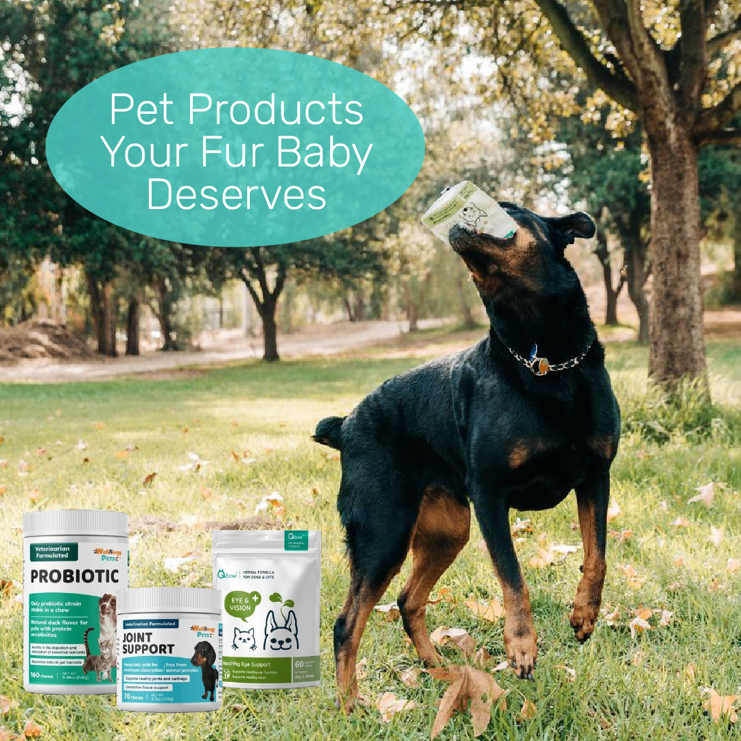 WellnergyPets Facebook ad: Be proactive about caring for your pet!