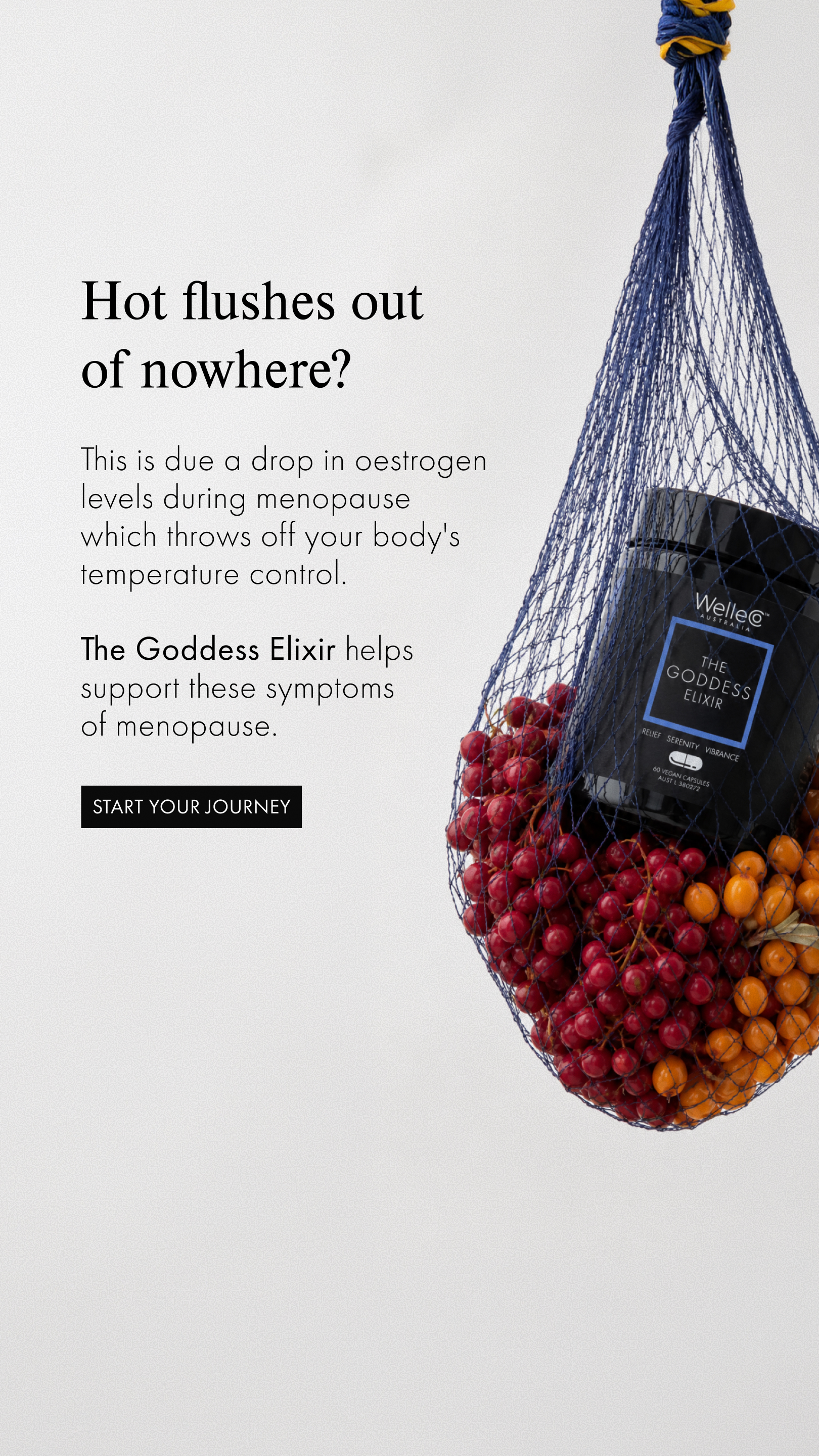 WelleCo Facebook ad