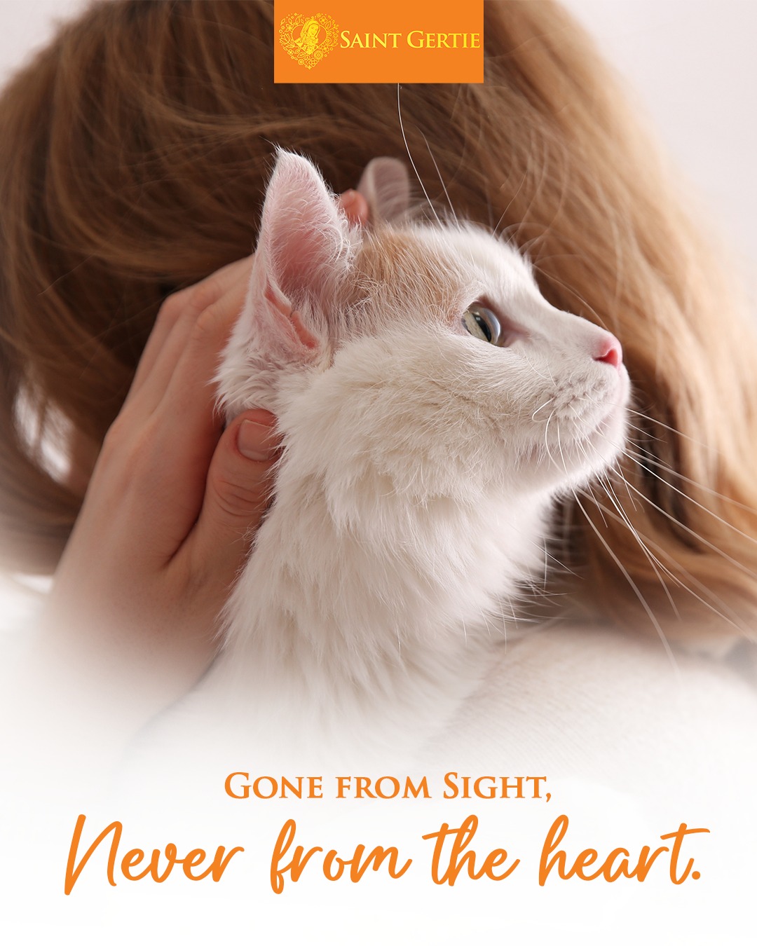 Saint Gertie Premium Cat Shampoo Facebook ad