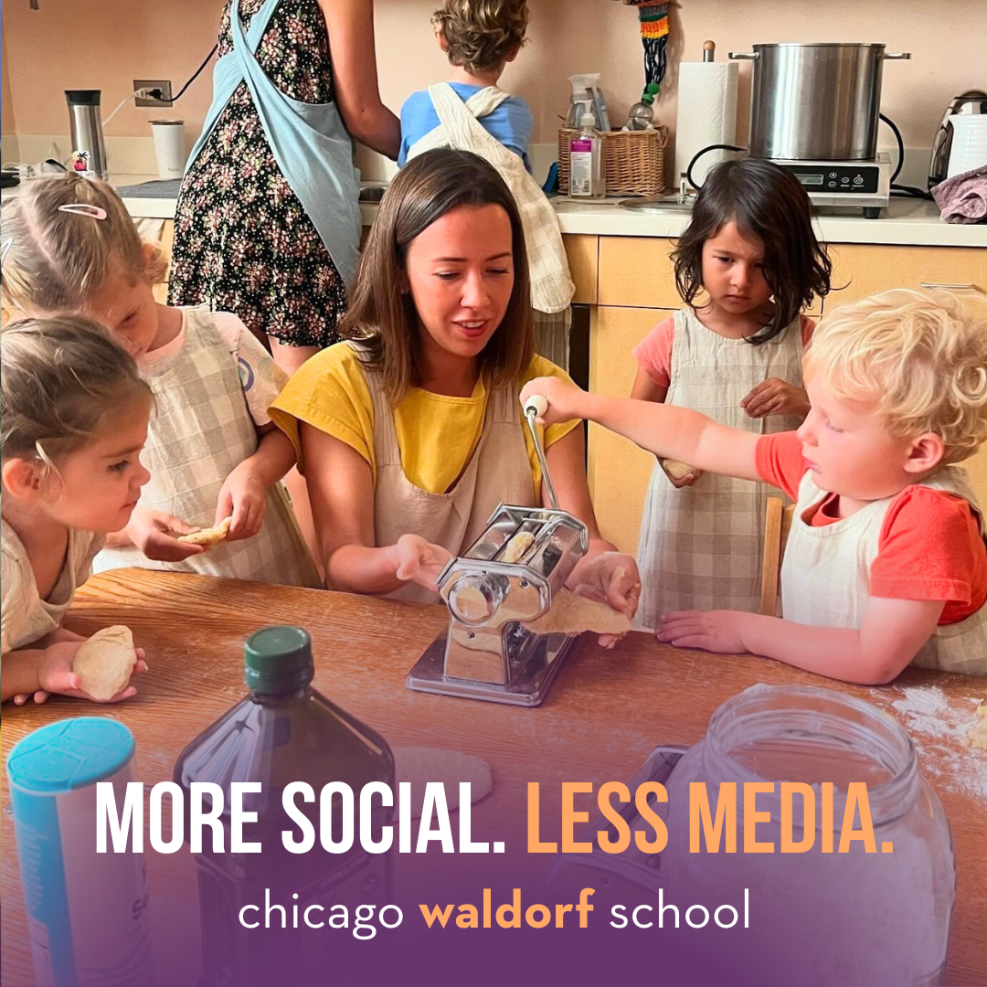 Chicago Waldorf School Facebook ad