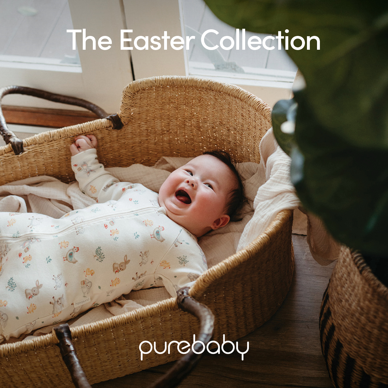Purebaby Facebook ad