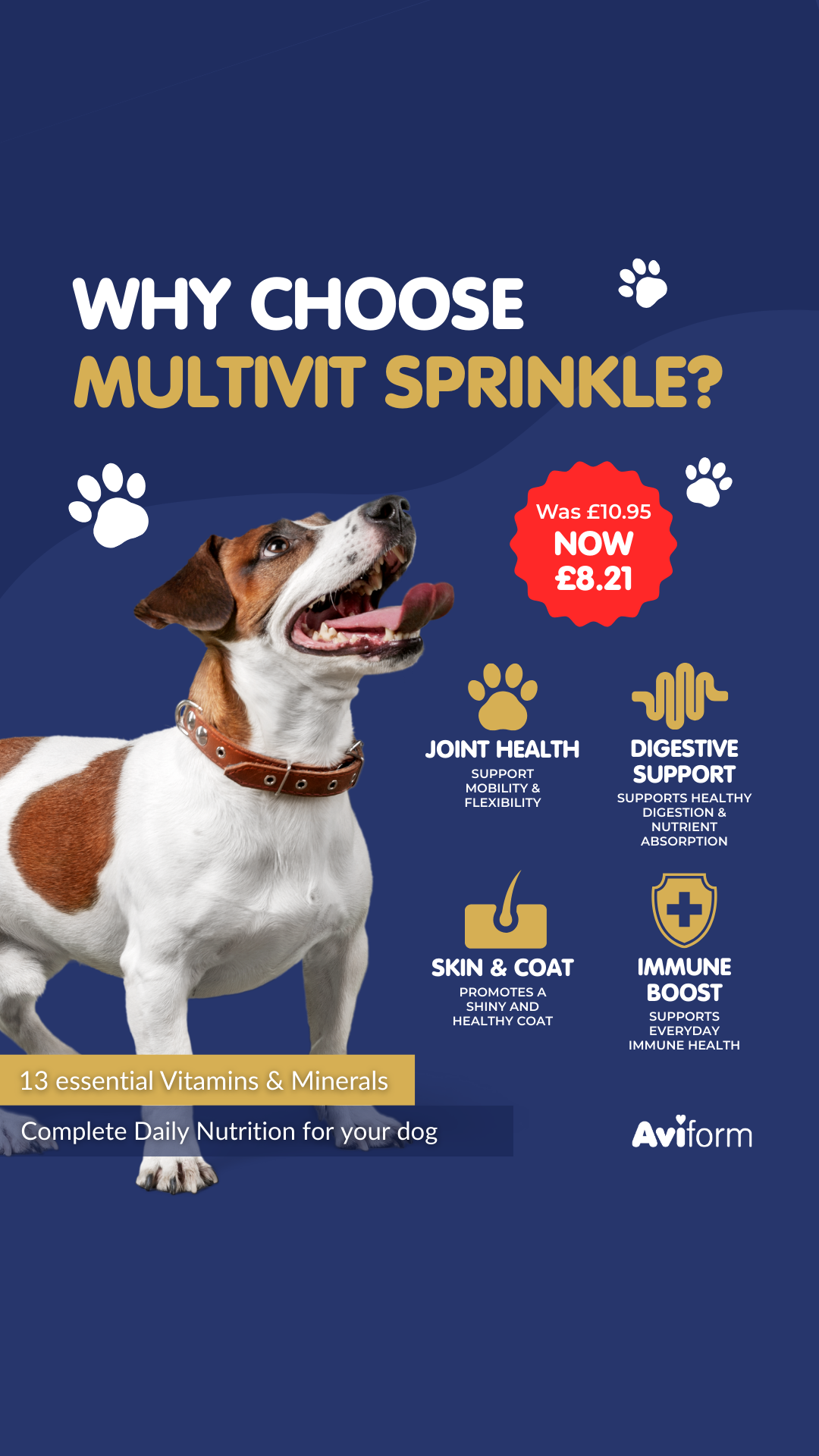 Aviform Nutrition UK - Horse & Dog Facebook ad