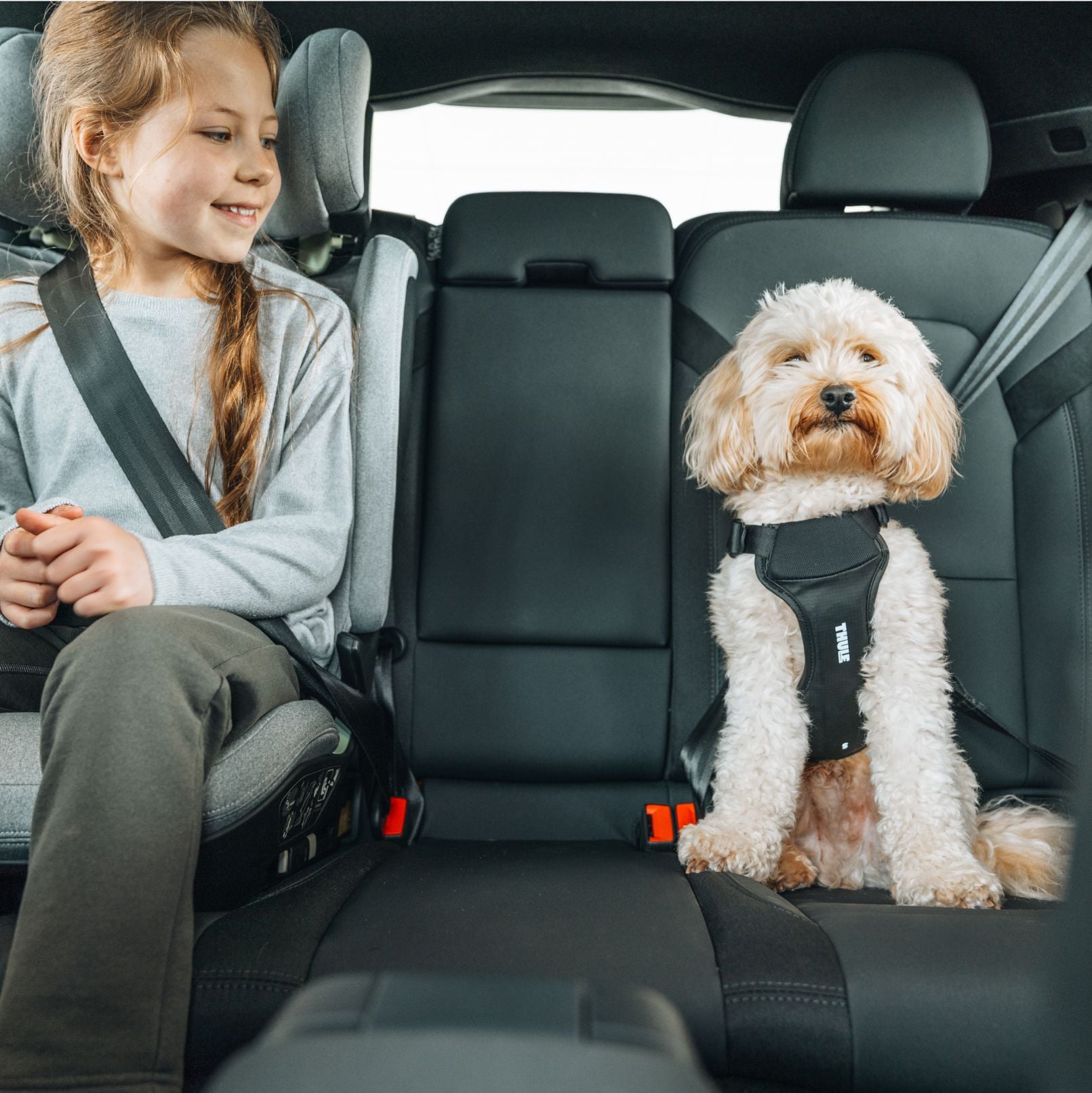 Thule Facebook ad
