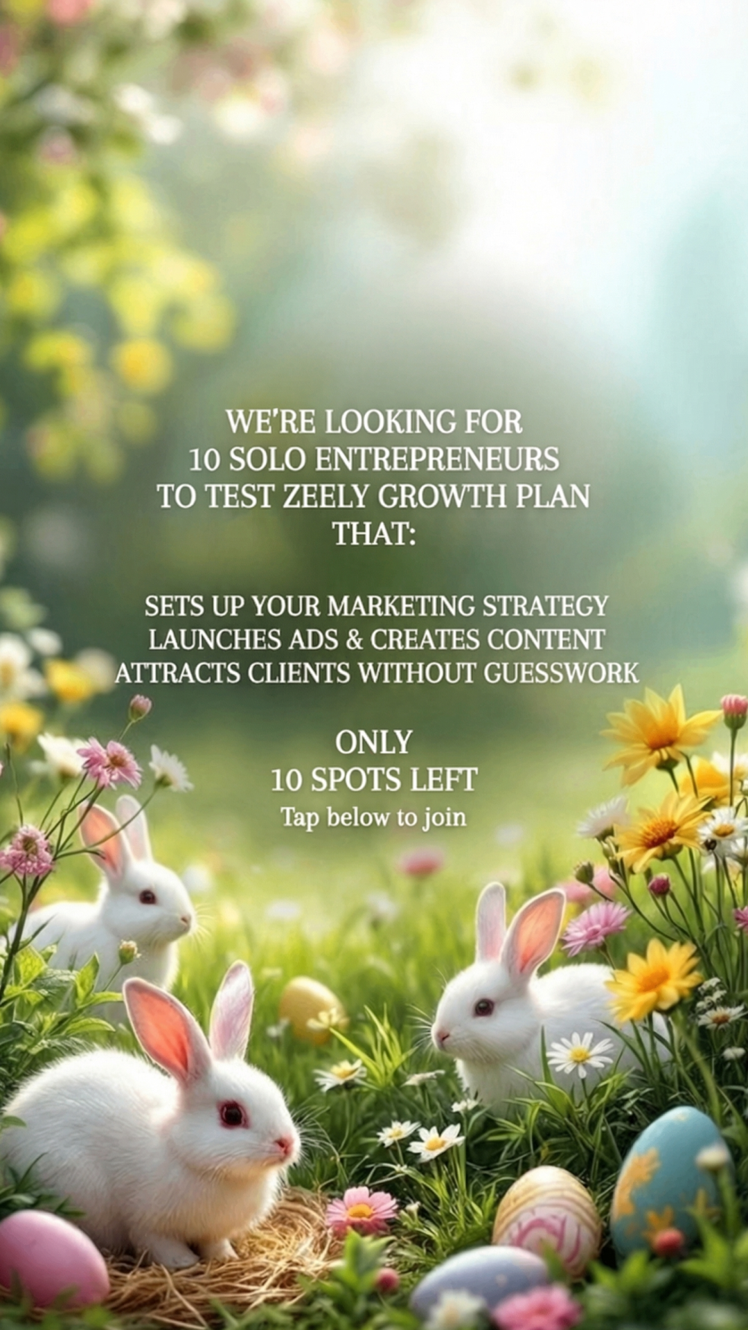Zeely Facebook ad