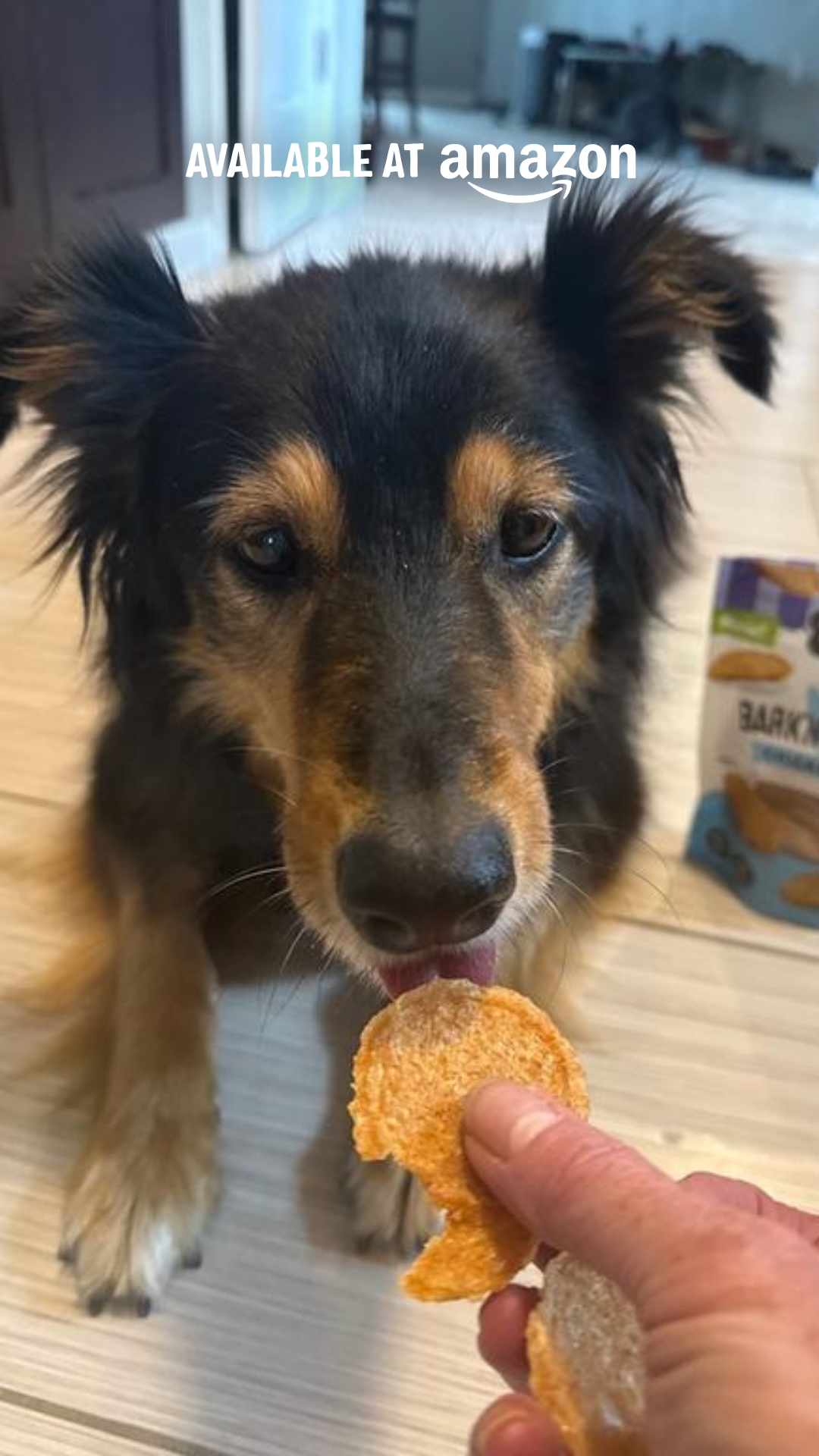 Three Dog Bakery Facebook ad