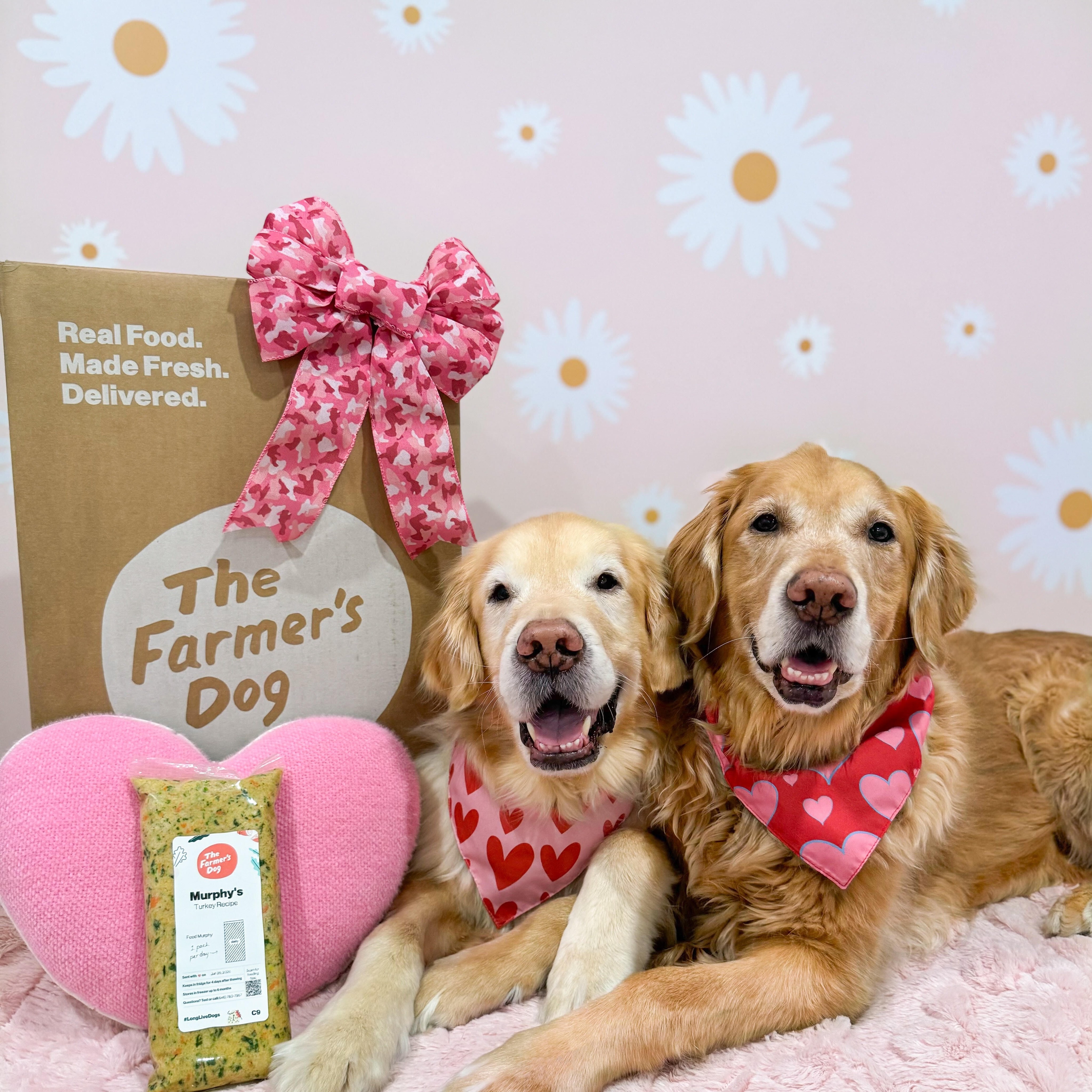 themgoldenboys Facebook ad