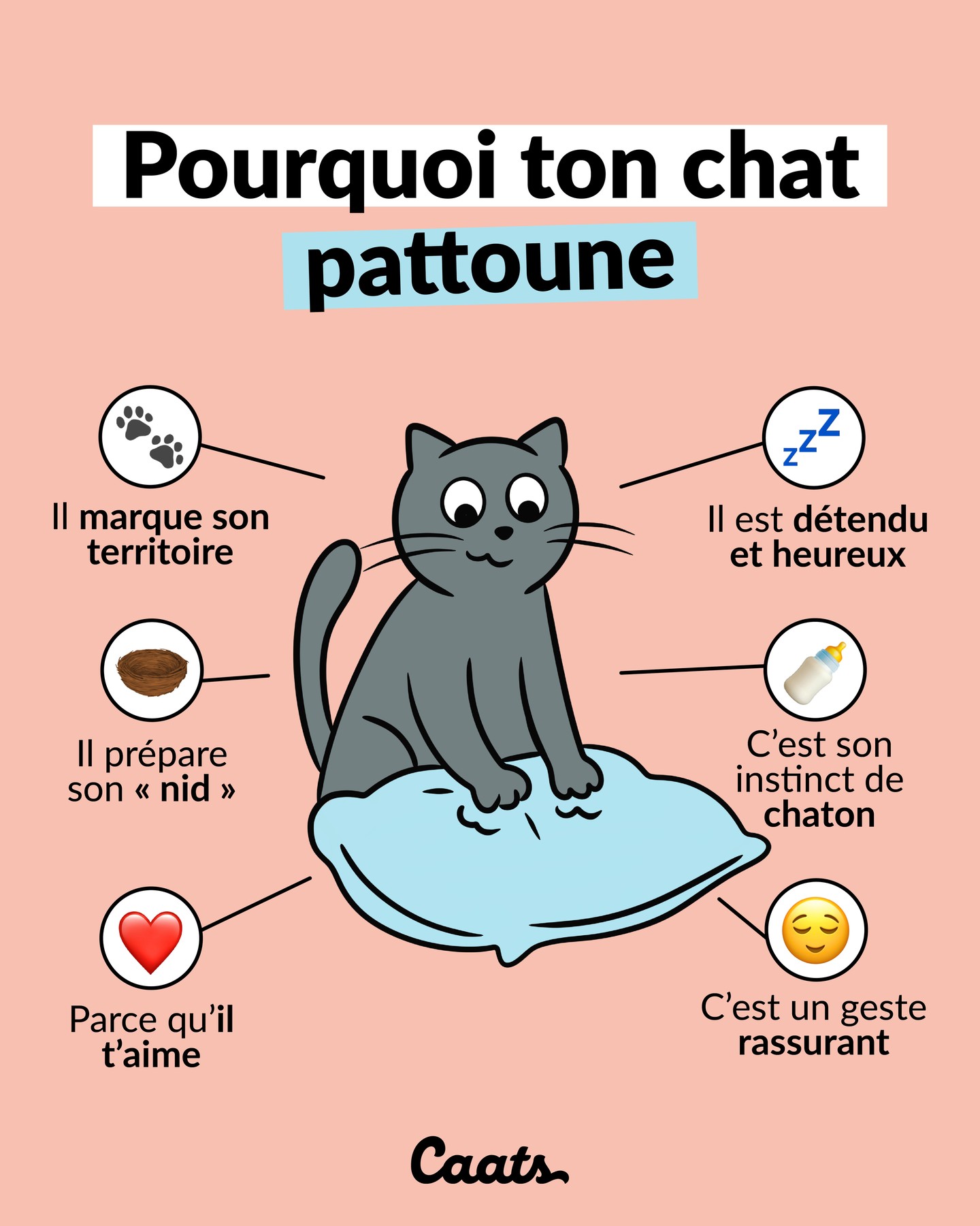 Caats Facebook ad