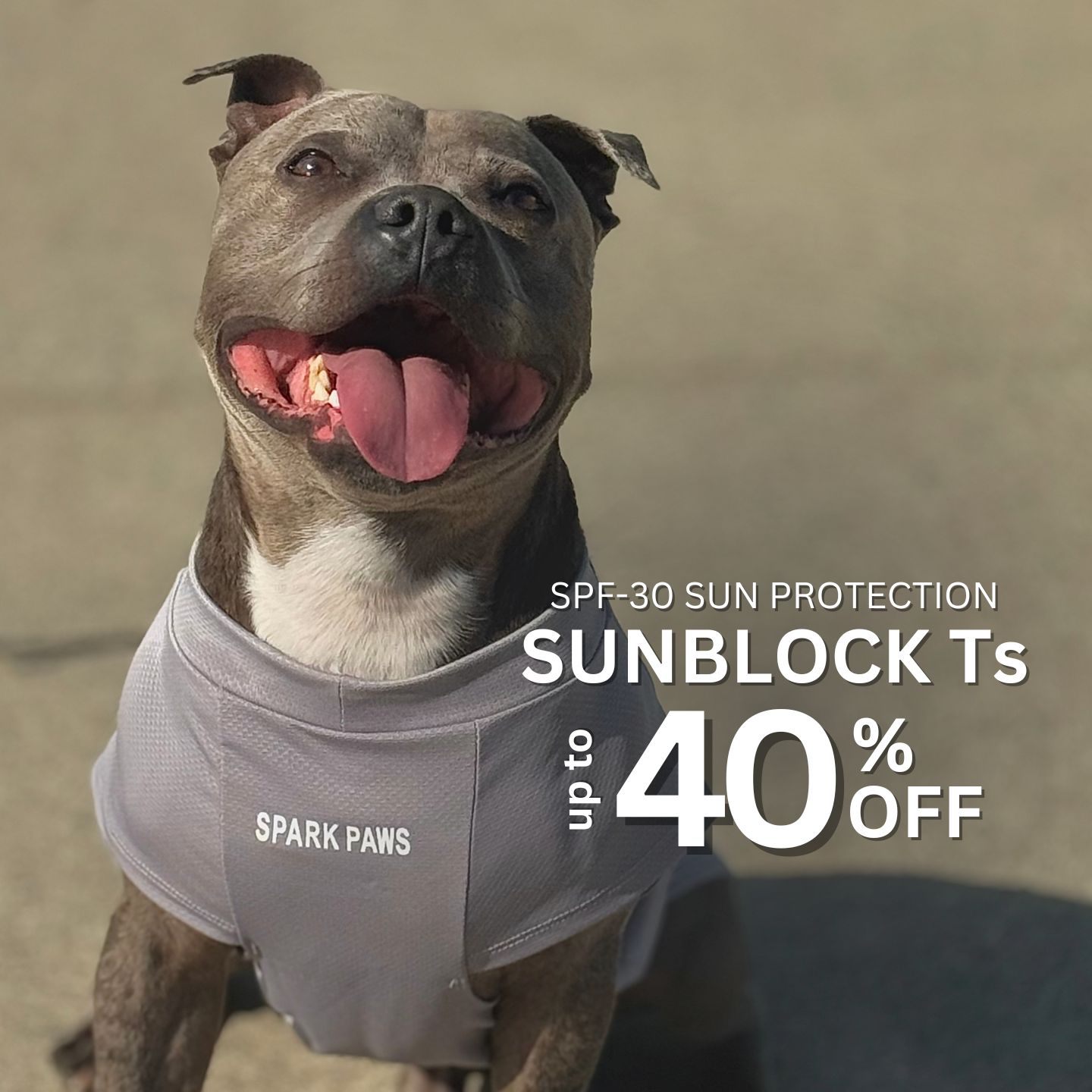 Spark Paws Facebook ad