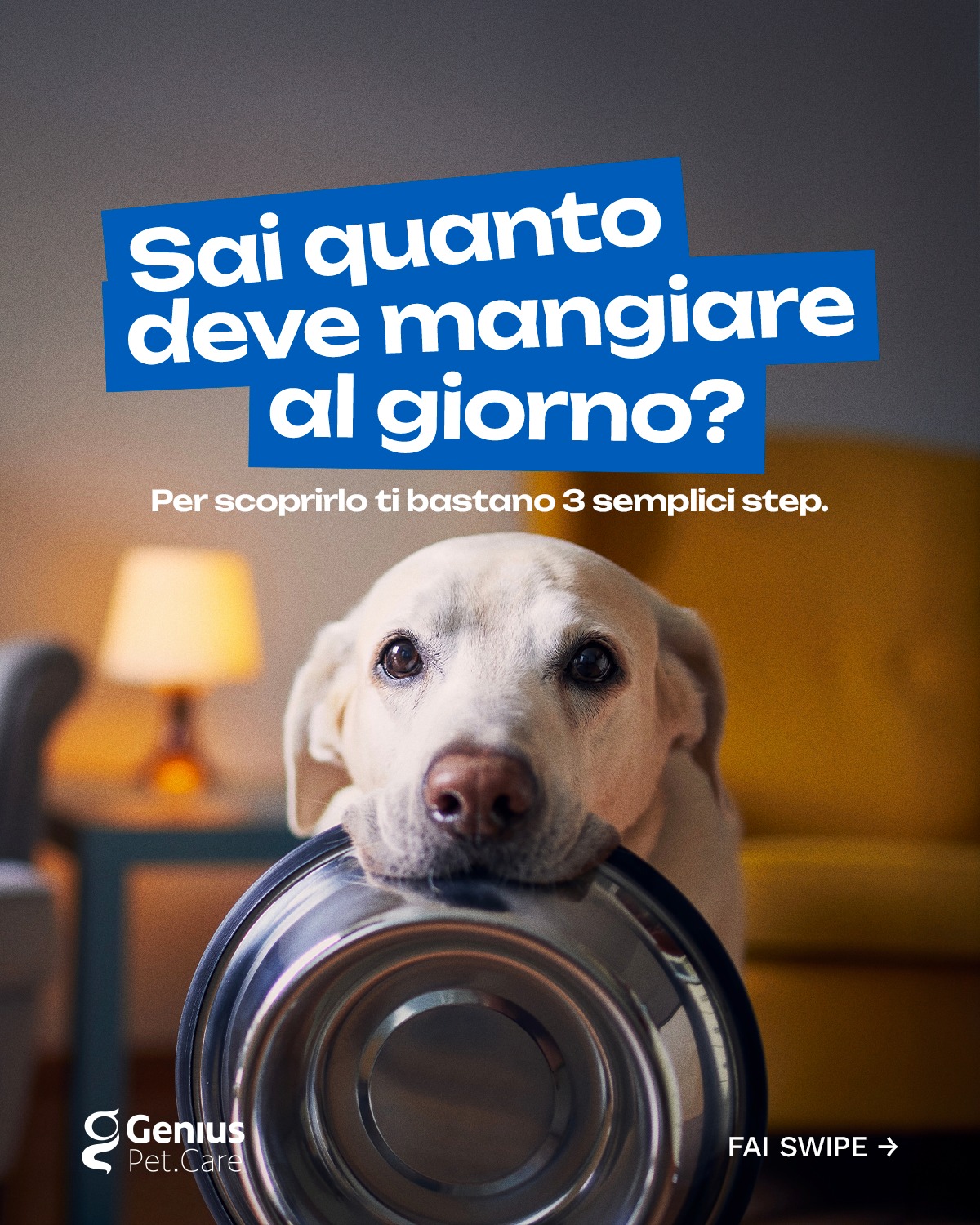 Genius Pet Care Italy Facebook ad: Sai quanto deve mangiare il pet al giorno?
