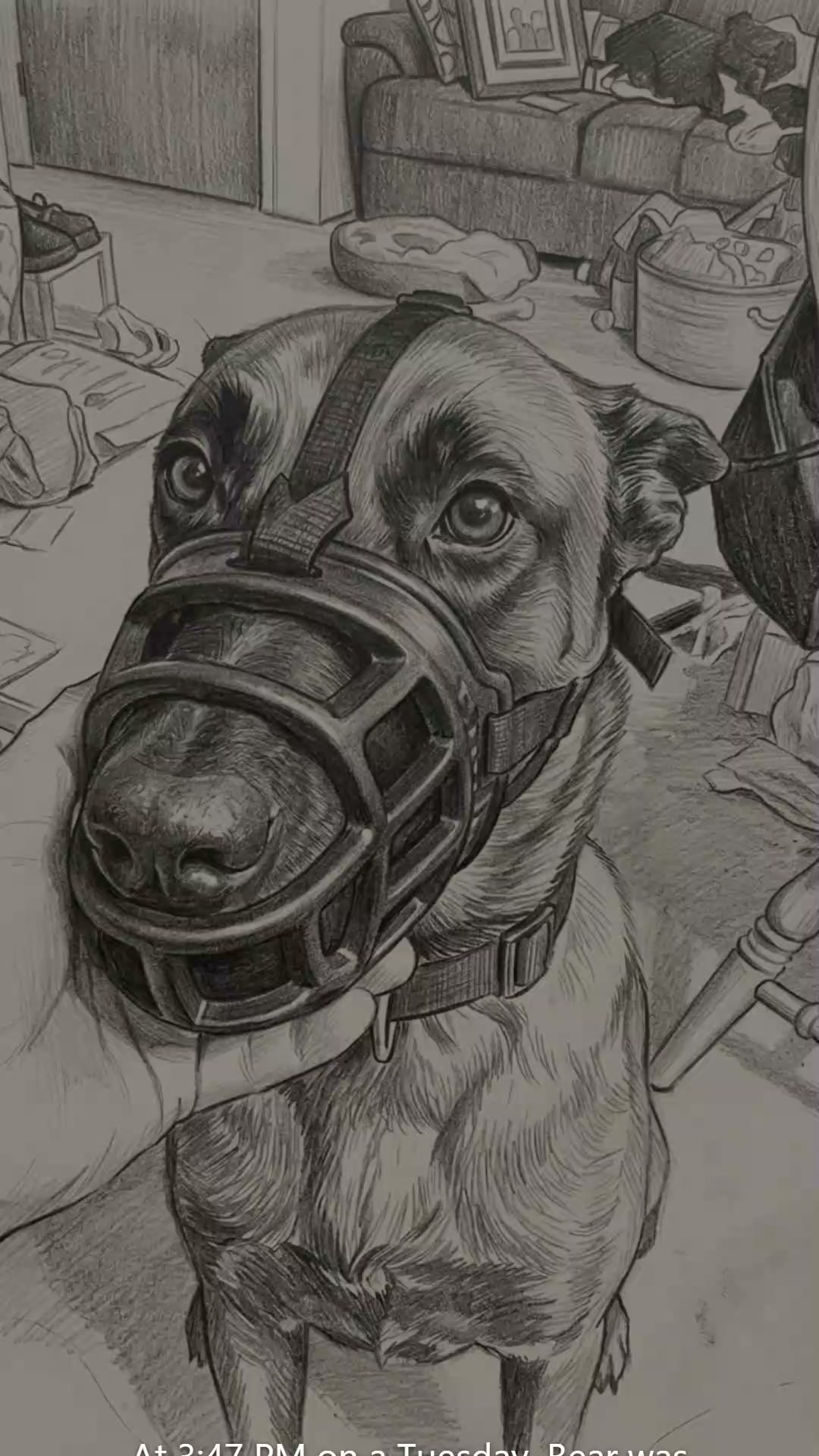Lakeview Animal Hospital Facebook ad: 79% of reactive dogs in training had this gut issue. Three…