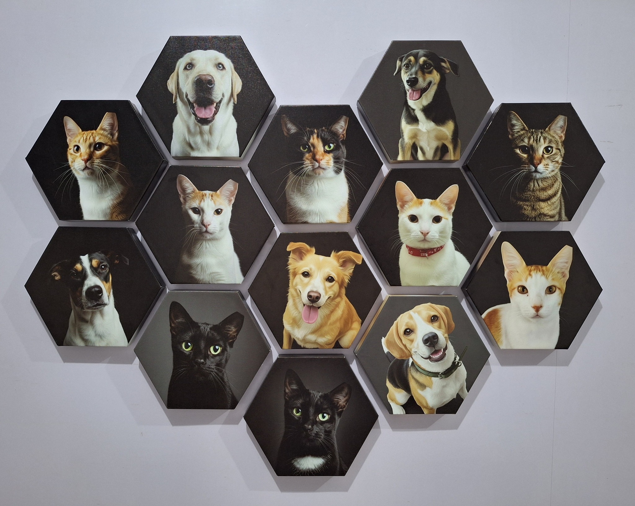 G-North Unlimited Facebook ad: From Fetch to Frame - Your Furr Babies…