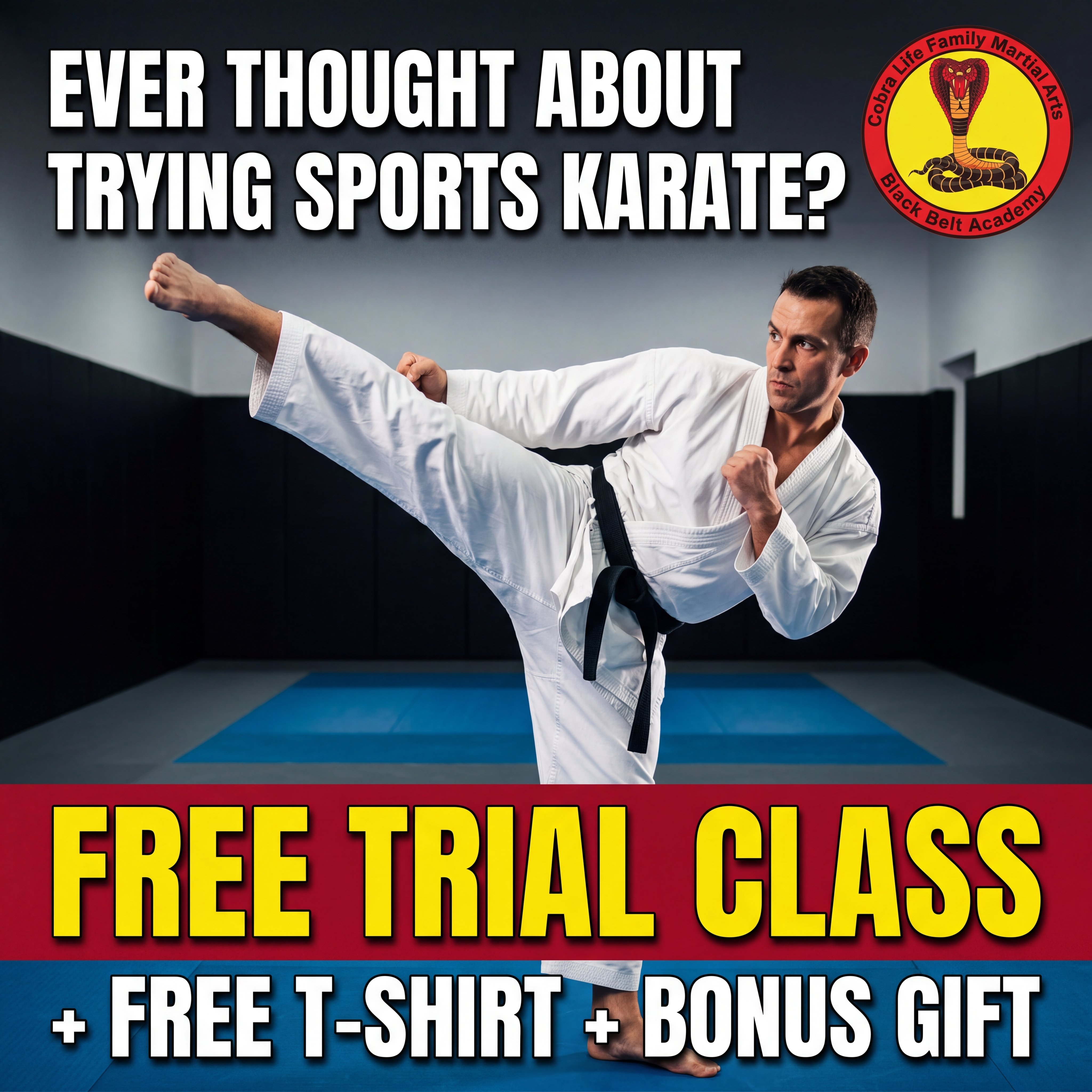 Cobra Life Family Martial Arts Black Belt Academy Facebook ad