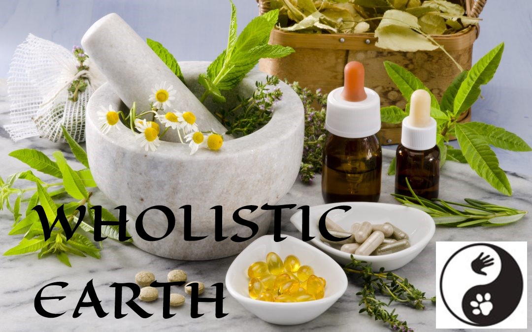 Wholistic Earth Facebook ad: Wholistic Earth Your